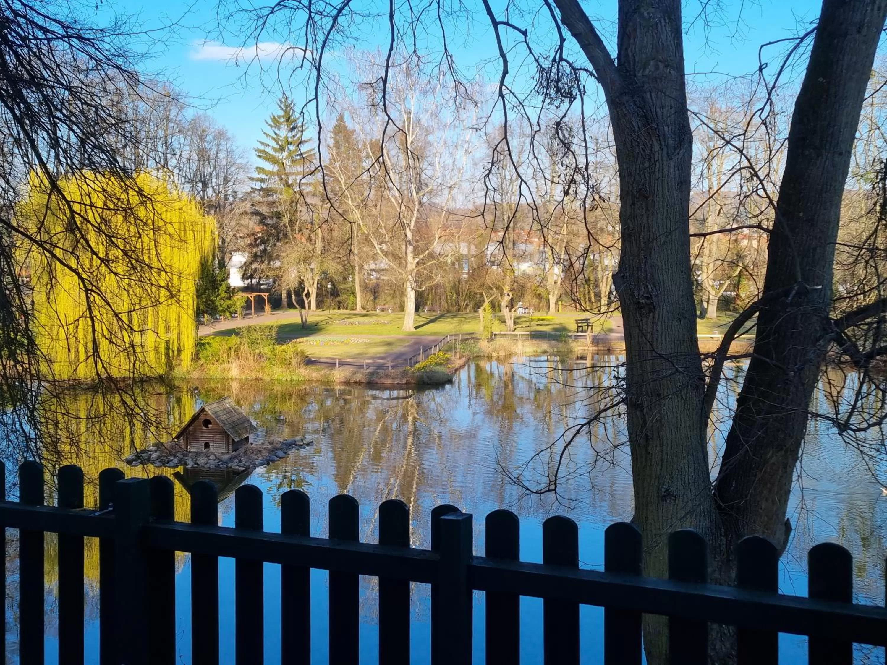 View (from property/room) in Parkhotel Am Schwanenteich