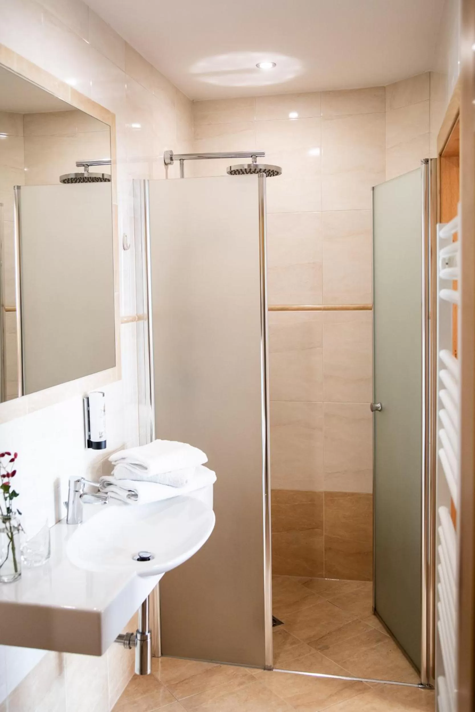 Bathroom in Bed and Breakfast Mittelkärnten