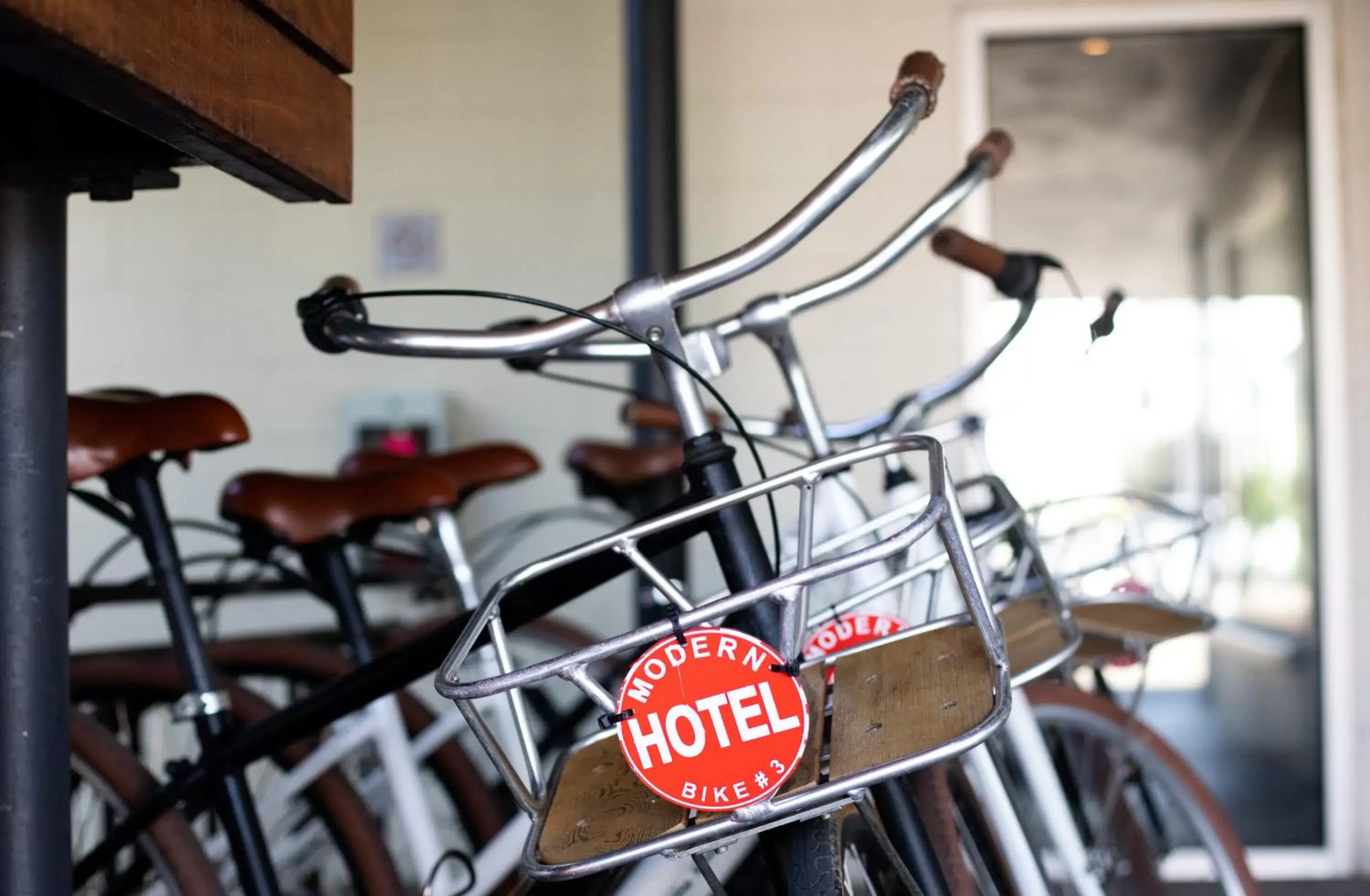 Cycling, Fitness Center/Facilities in Modern Hotel