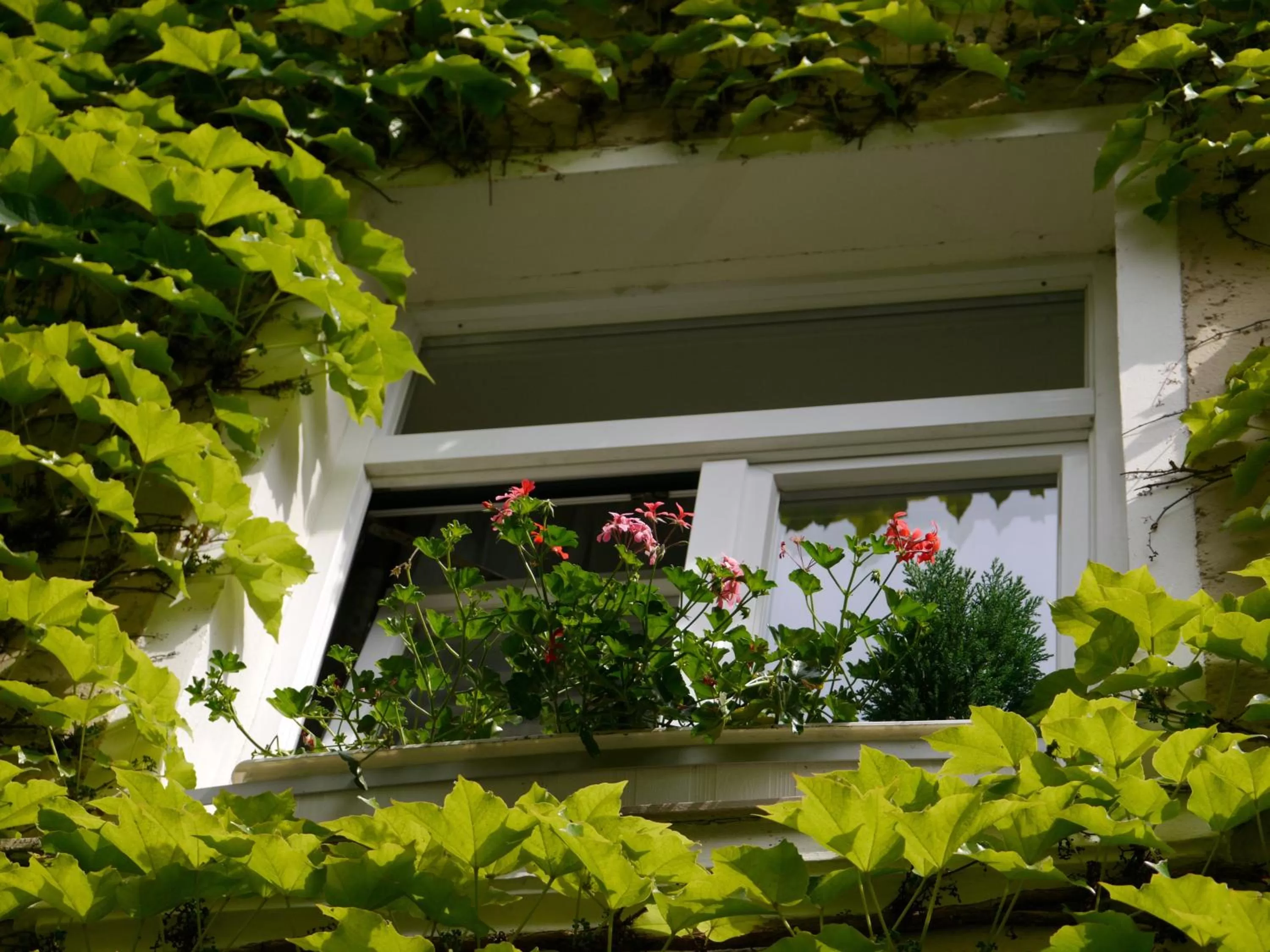 Property building in Dom Hotel