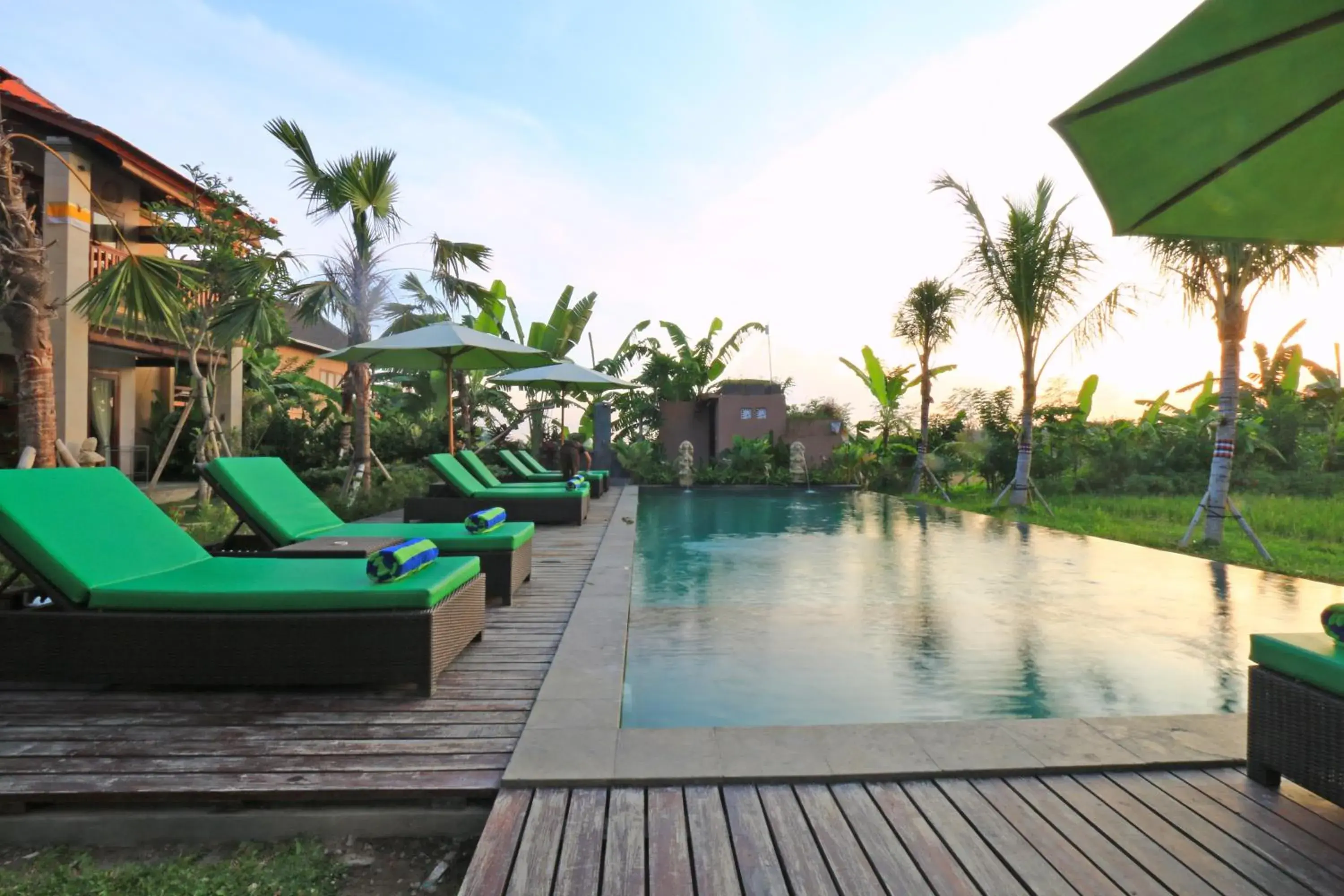 Natural landscape, Swimming Pool in Ubud Tropical Garden