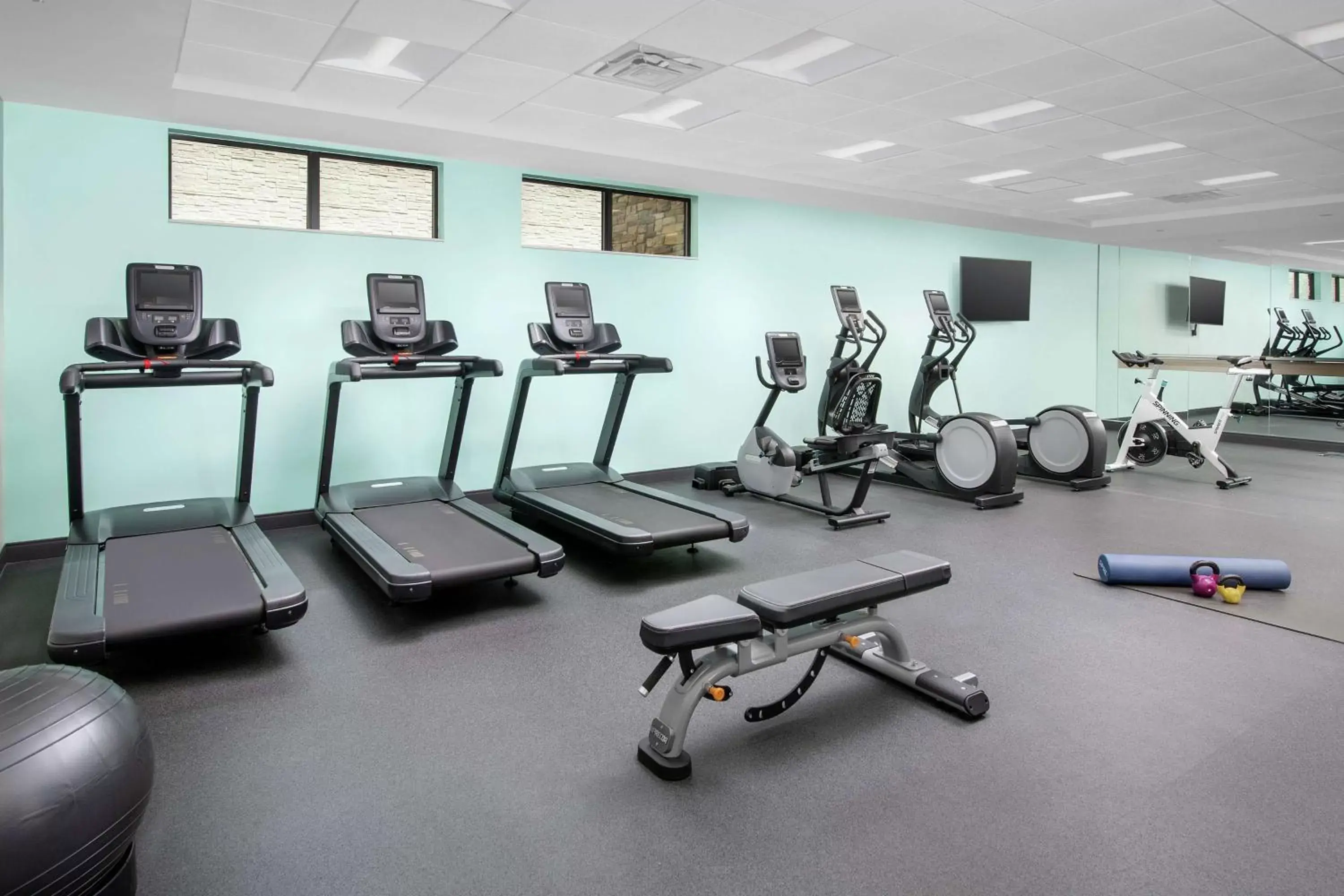 Fitness centre/facilities, Fitness Center/Facilities in Tru By Hilton Denver Airport Tower Road