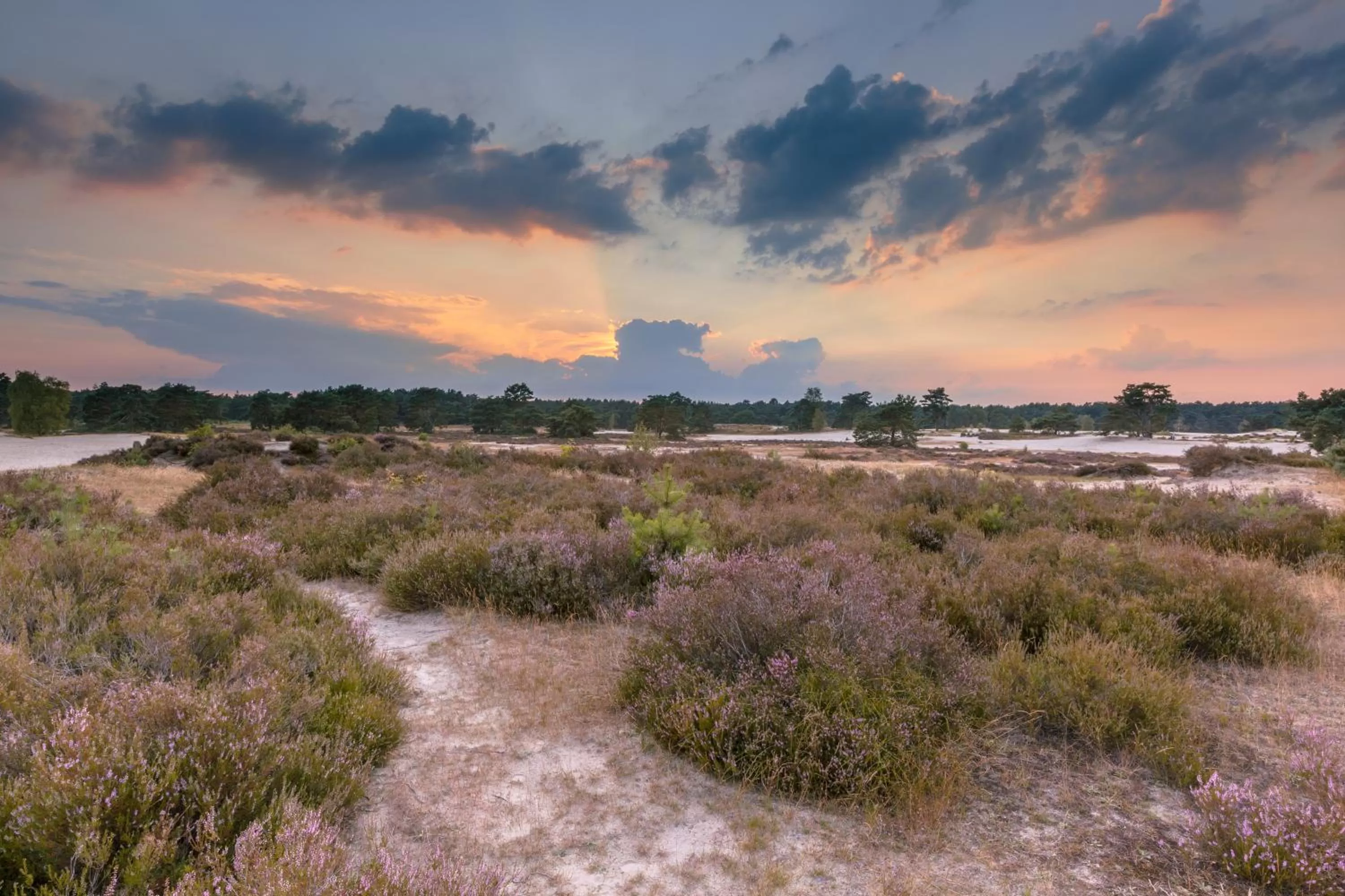 Natural landscape in Fletcher Hotel-Restaurant Oud London