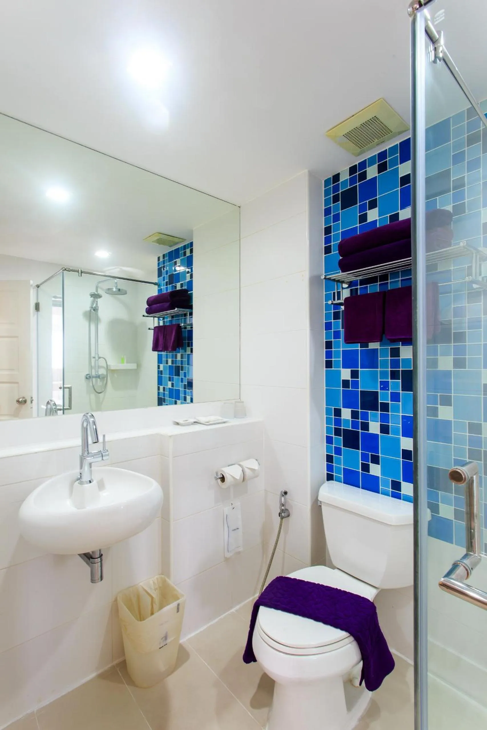 Toilet in Samui Verticolor