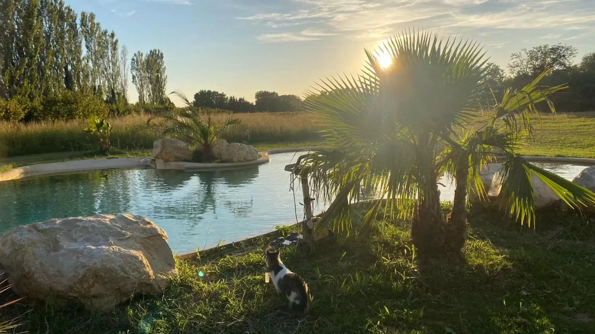 Swimming pool in Mas des Cerisiers