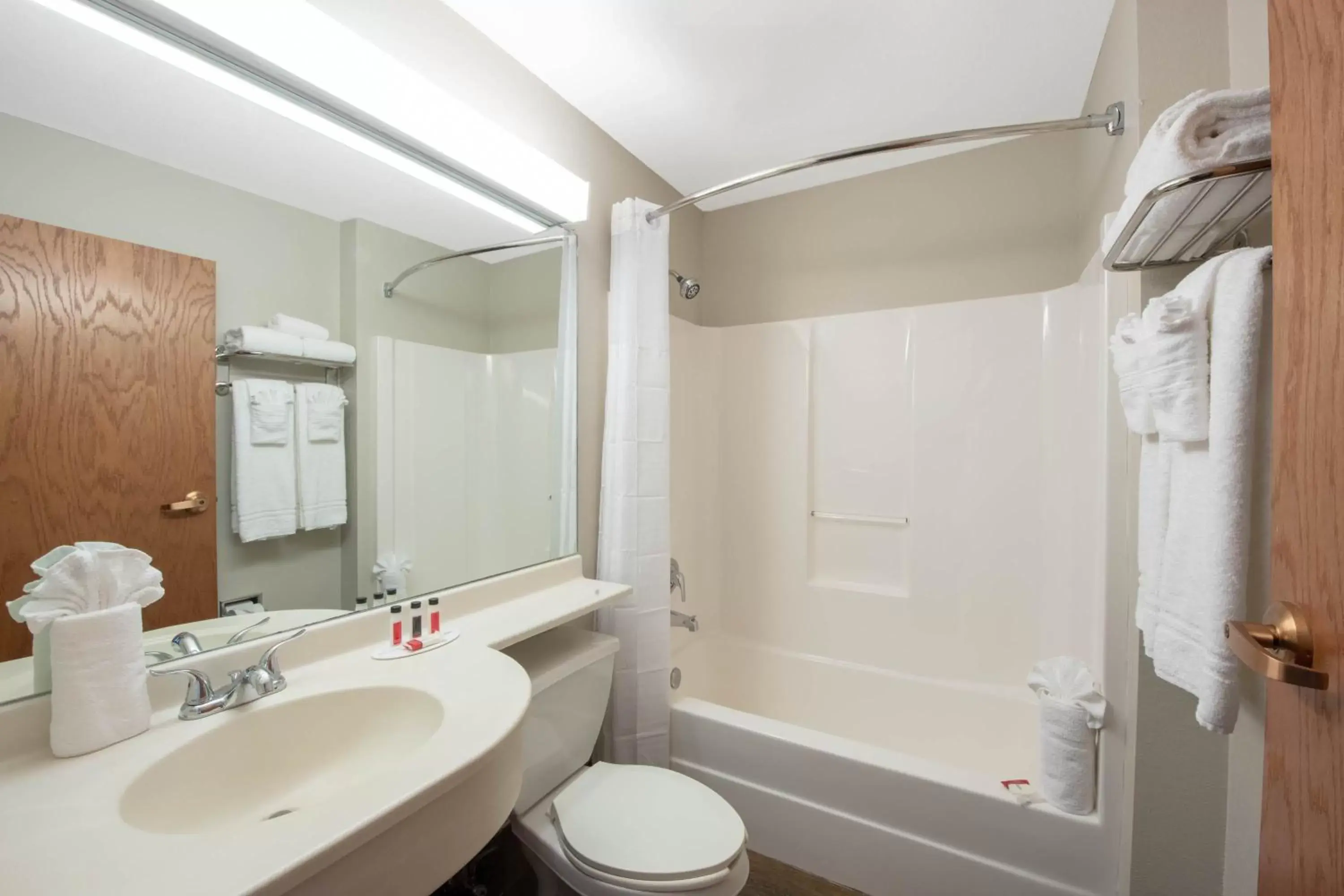 Toilet, Bathroom in Microtel Inn & Suites by Wyndham Springfield