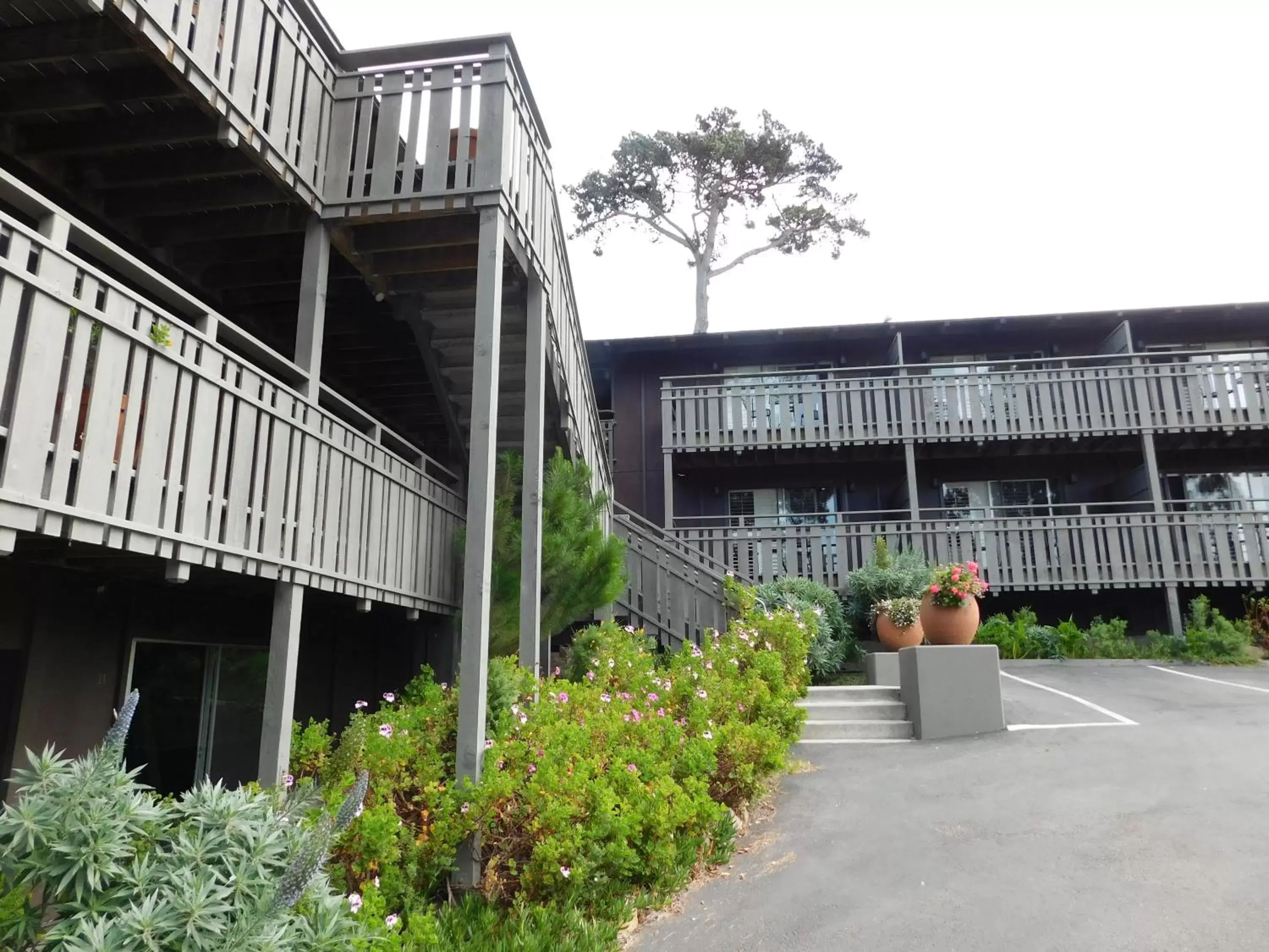 Property building, Garden in The Olympia Lodge