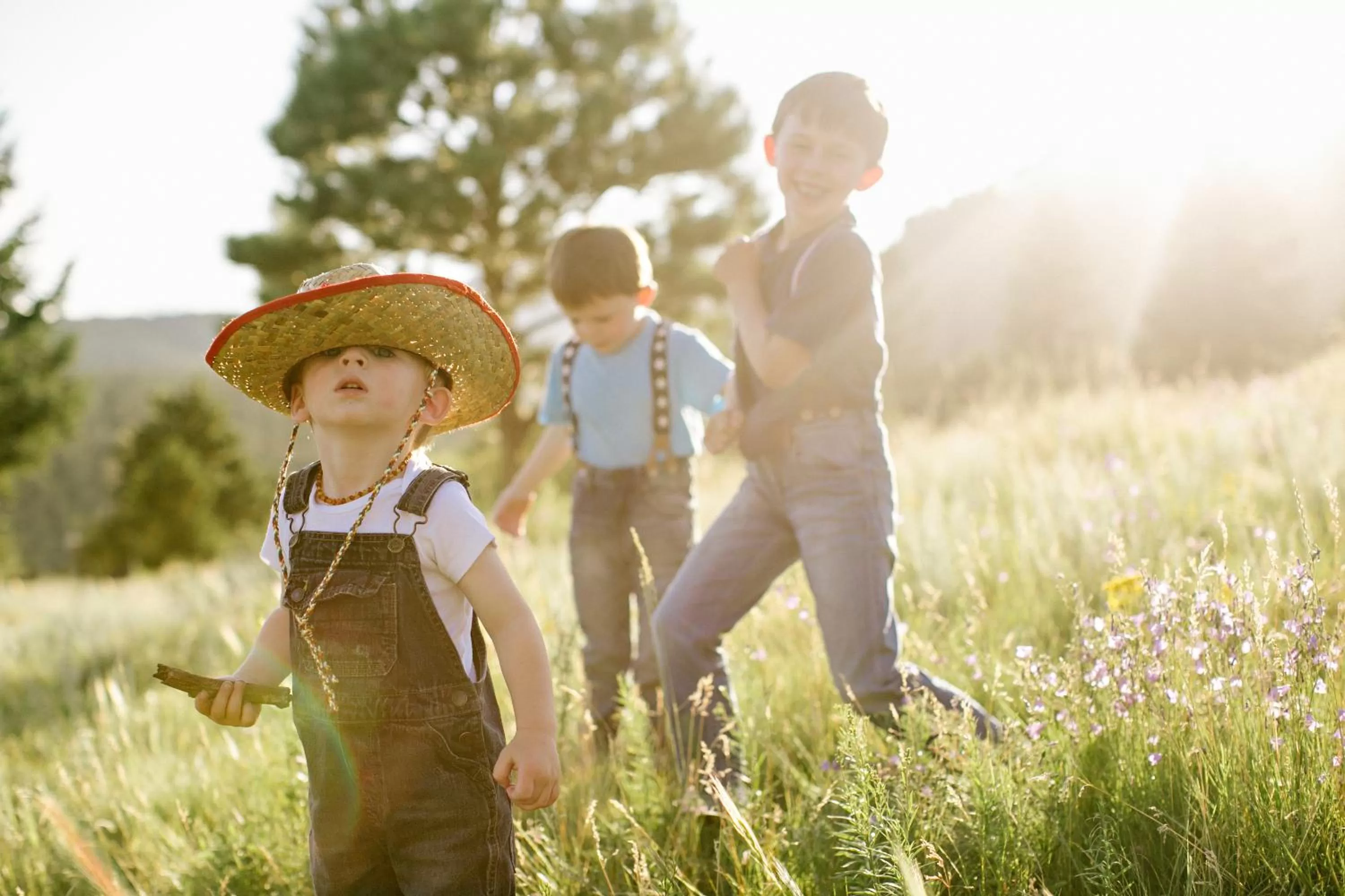 Quality Inn Price Gateway to Moab National Parks