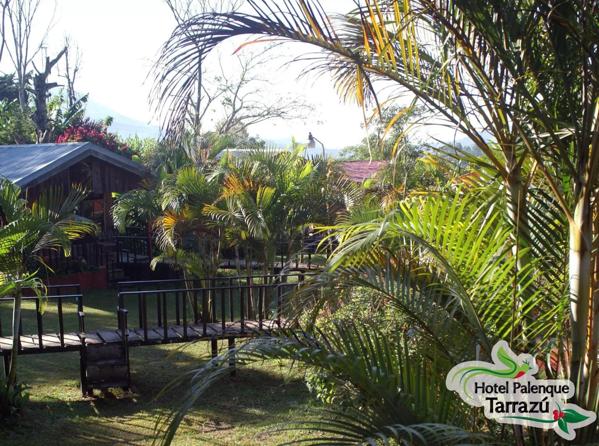 Property building in Hotel Palenque Tarrazu