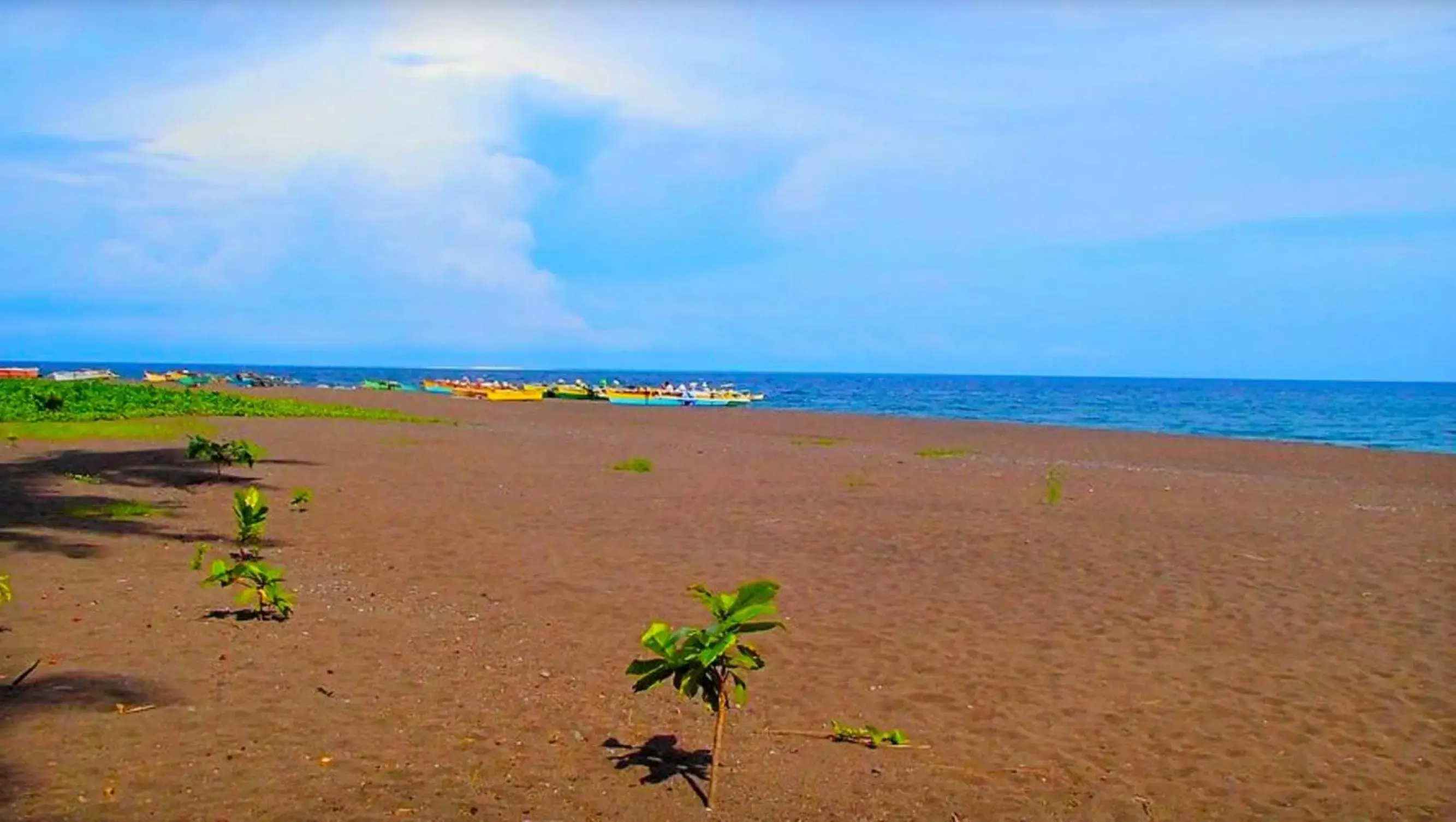 Beach in SomeWhere Else Boutique Resort