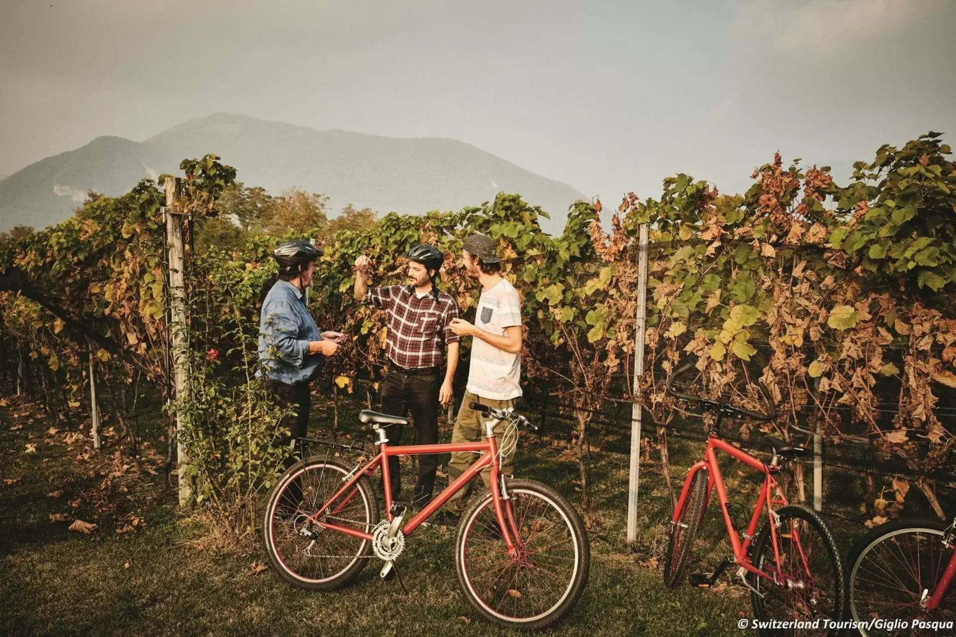 Biking in Conca Bella Boutique Hotel & Wine Experience
