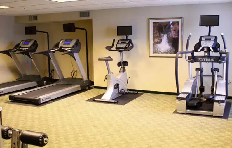 Fitness centre/facilities, Fitness Center/Facilities in Ann Arbor Regent Hotel and Suites