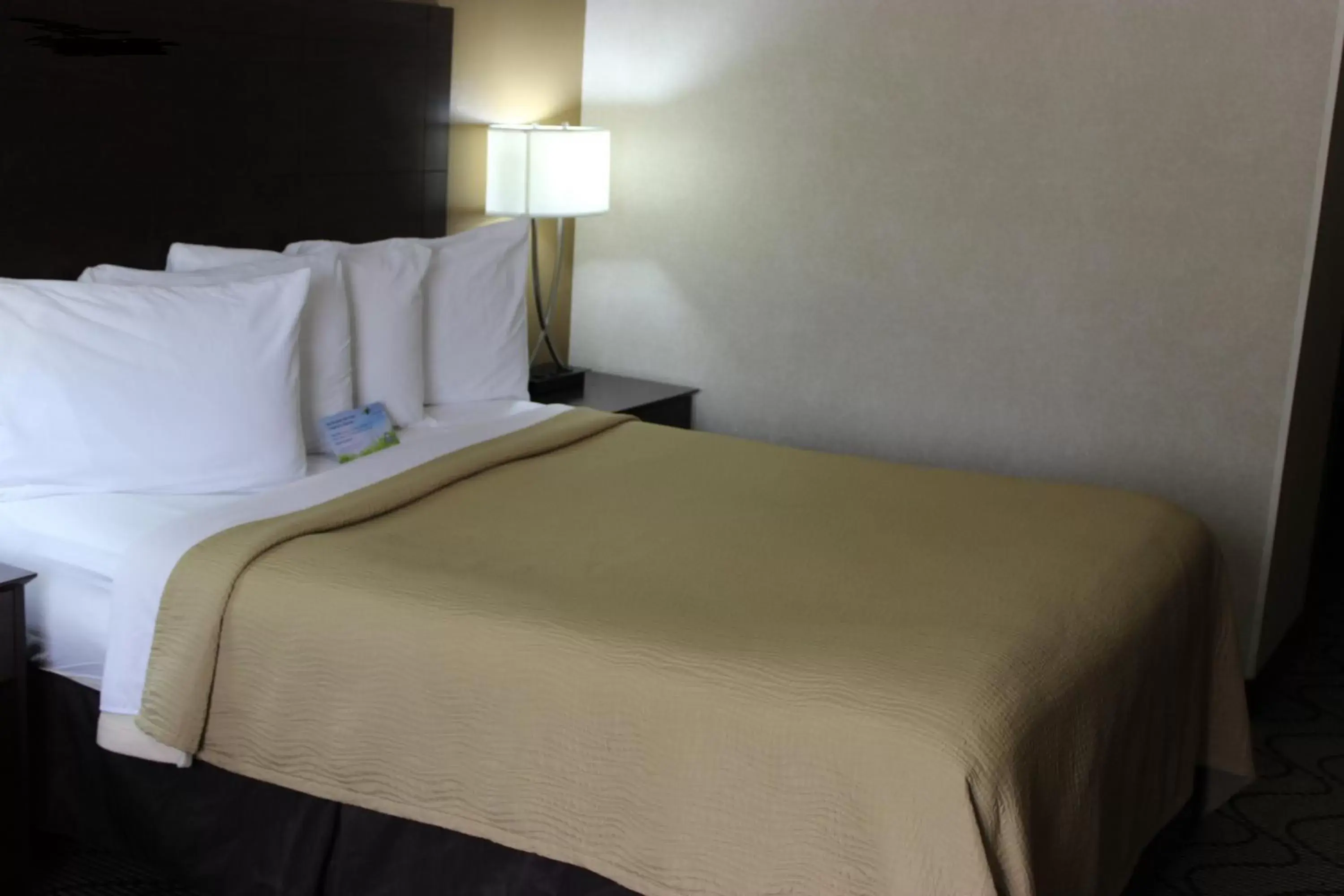 Bed, Room Photo in Days Inn by Wyndham Columbia Mall
