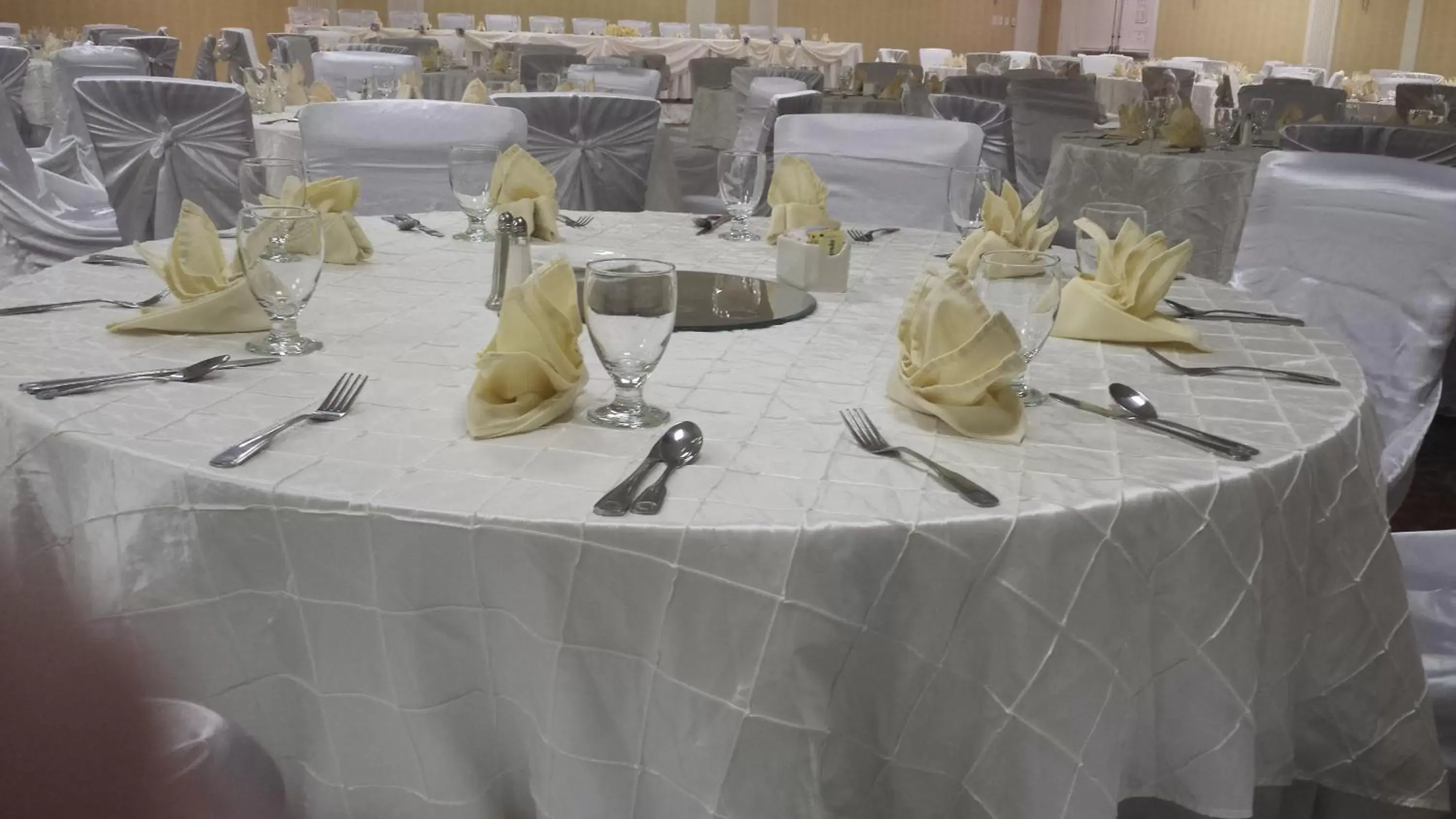Banquet/Function facilities, Banquet Facilities in Wyndham Garden Manassas