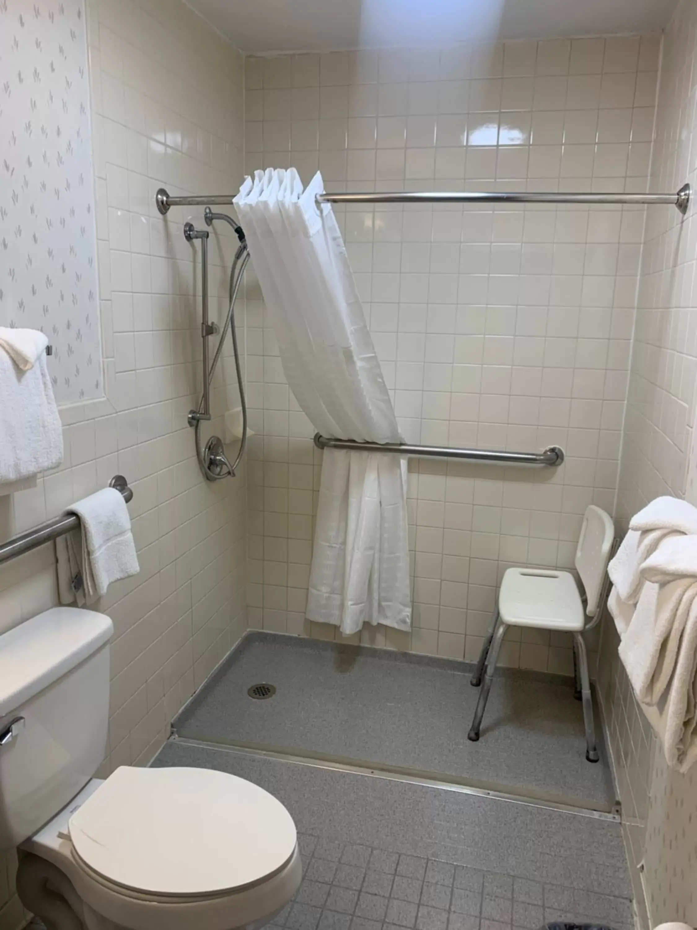 Shower, Bathroom in Quality Inn & Suites Brooksville I-75/Dade City