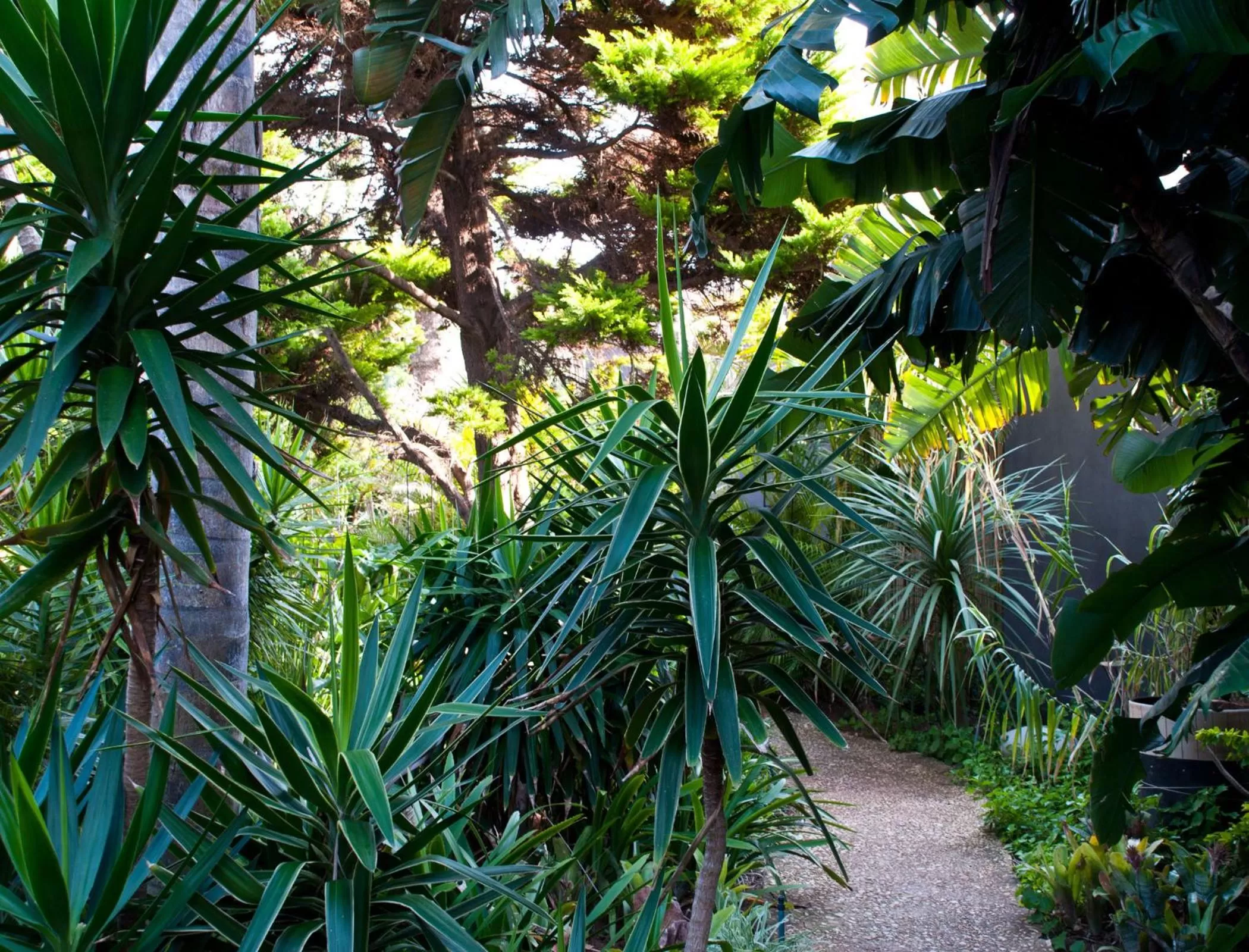 Garden in Singa Lodge - Lion Roars Hotels & Lodges