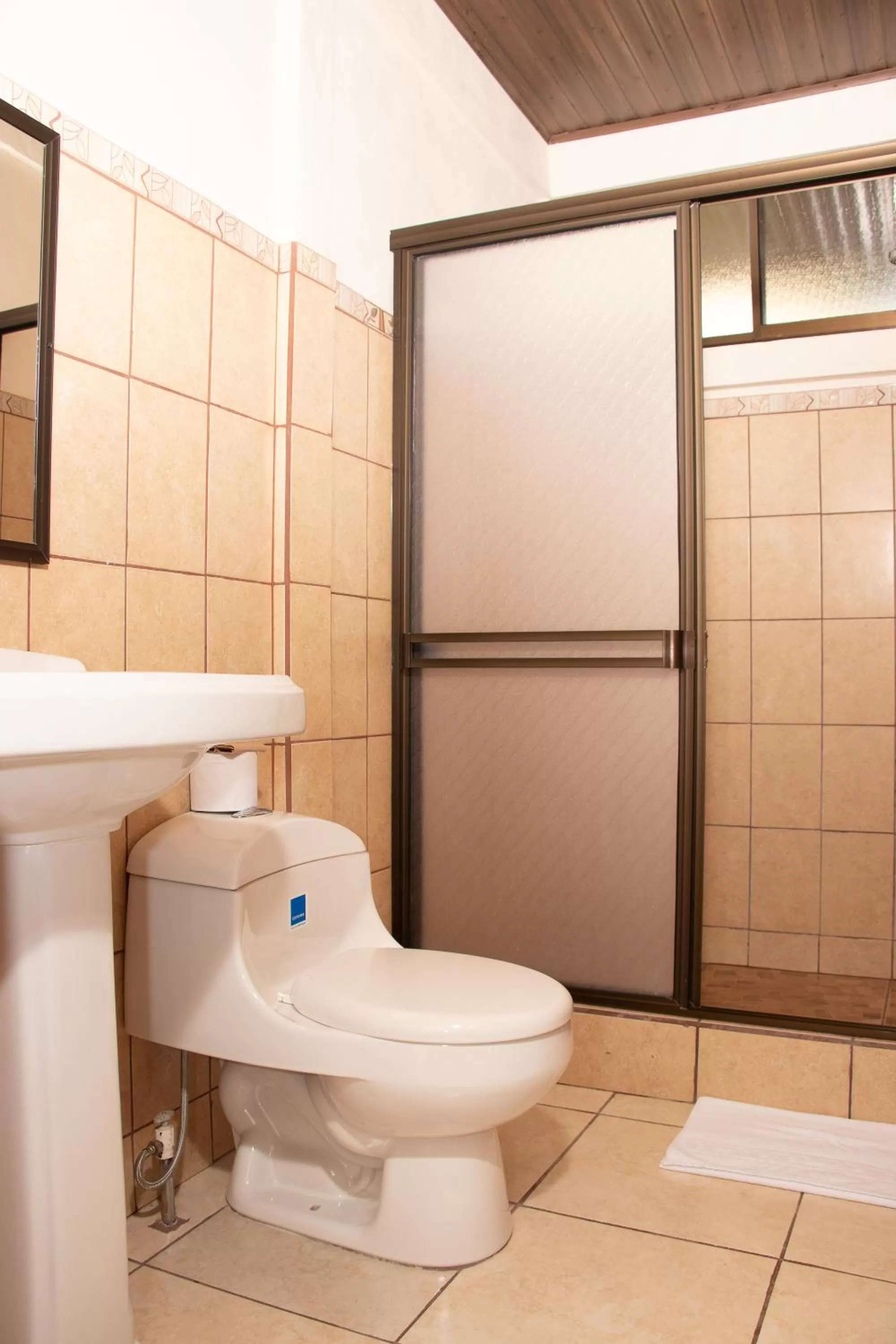 Shower, Bathroom in Hotel Villa Hermosa