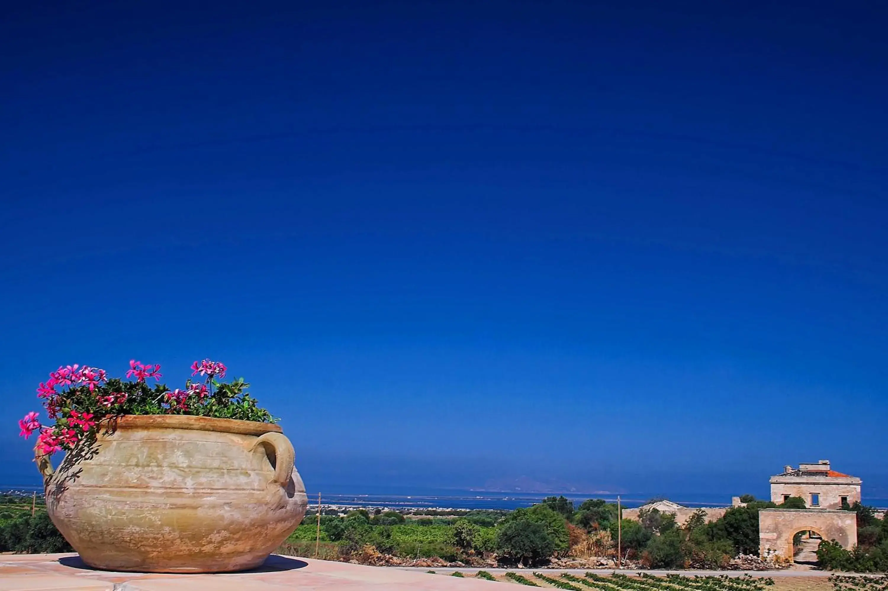 View (from property/room) in Agriturismo Baglio Donnafranca Wine Resort