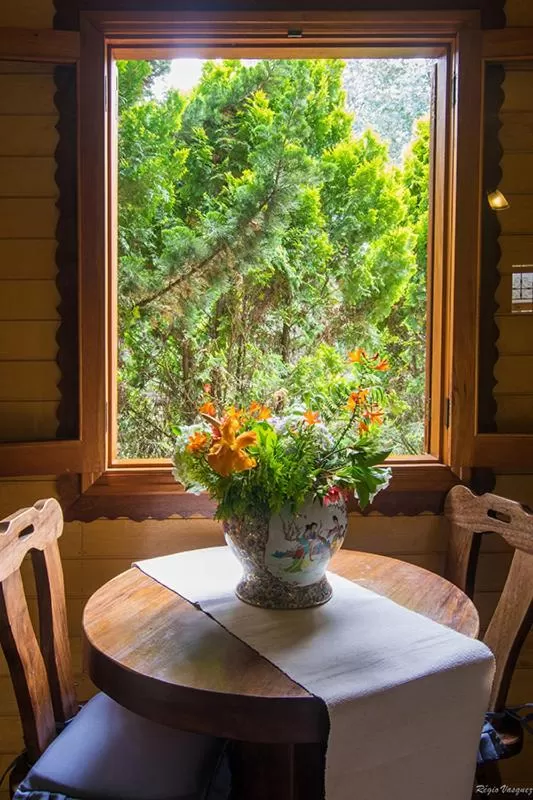 Garden view in Pousada Ricanto Amore Mio