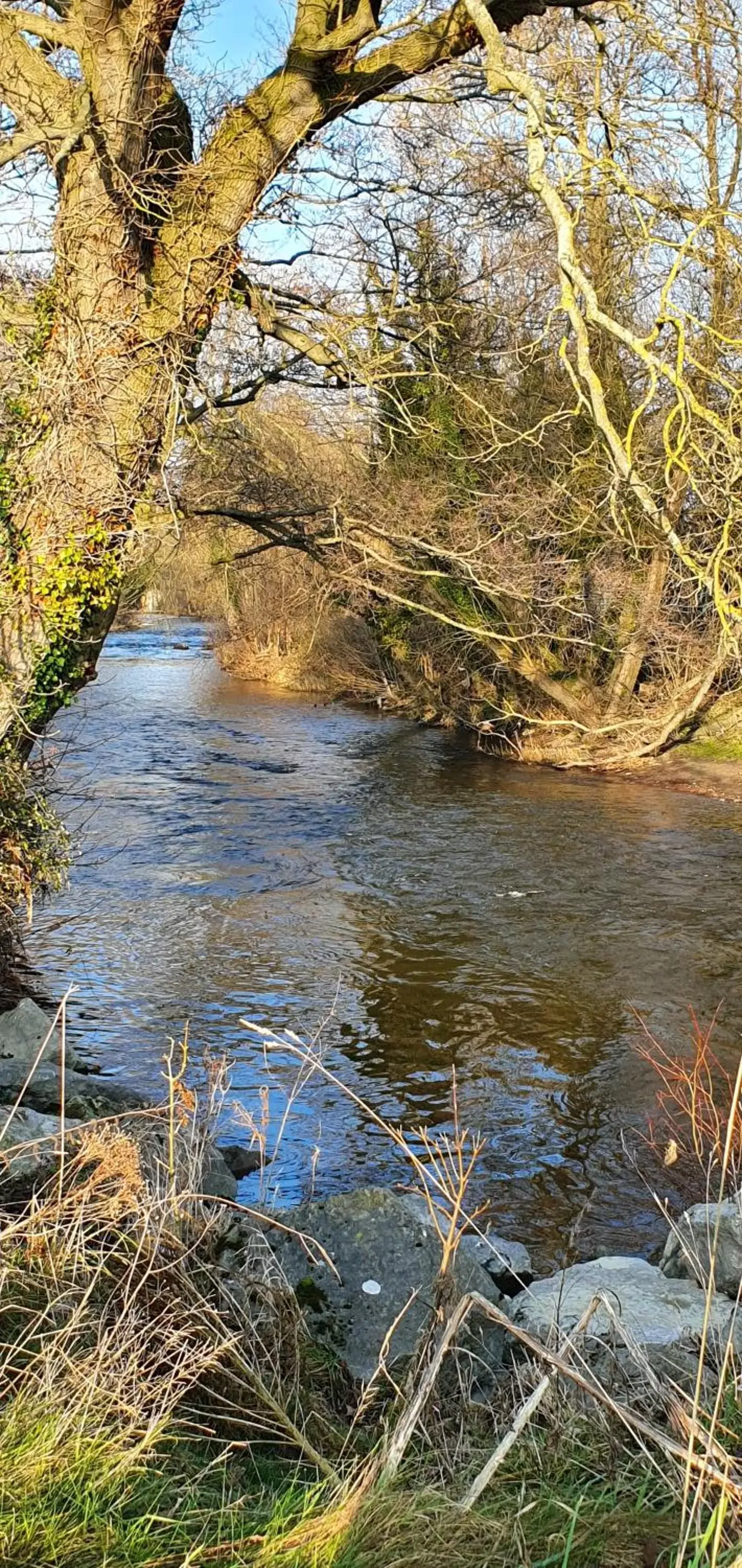 Natural landscape in Tafarn y Waen -Guesthouse Bed and Breakfast