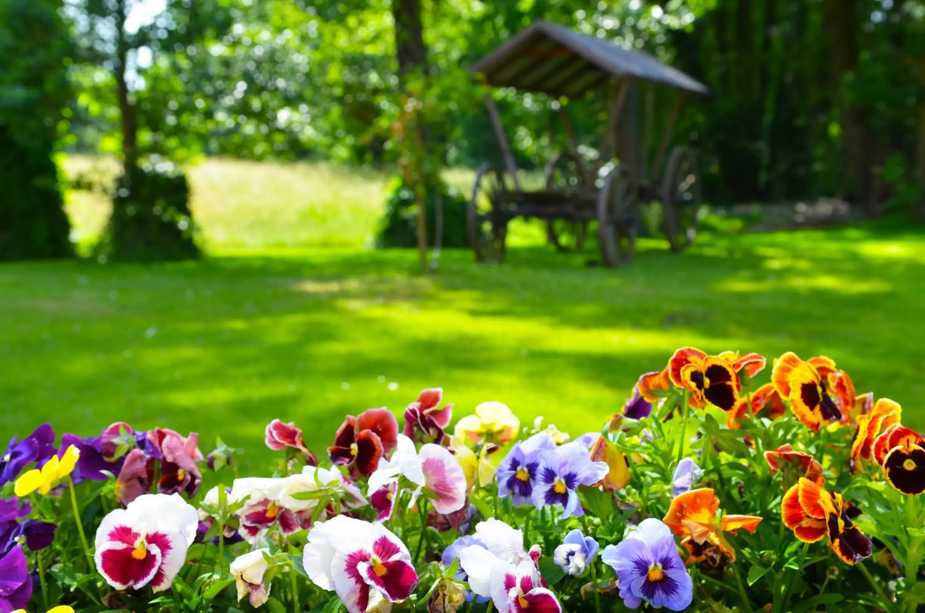 Day, Garden in Kur und Wellnesshaus Spreebalance, The Originals Relais (Relais du Silence)