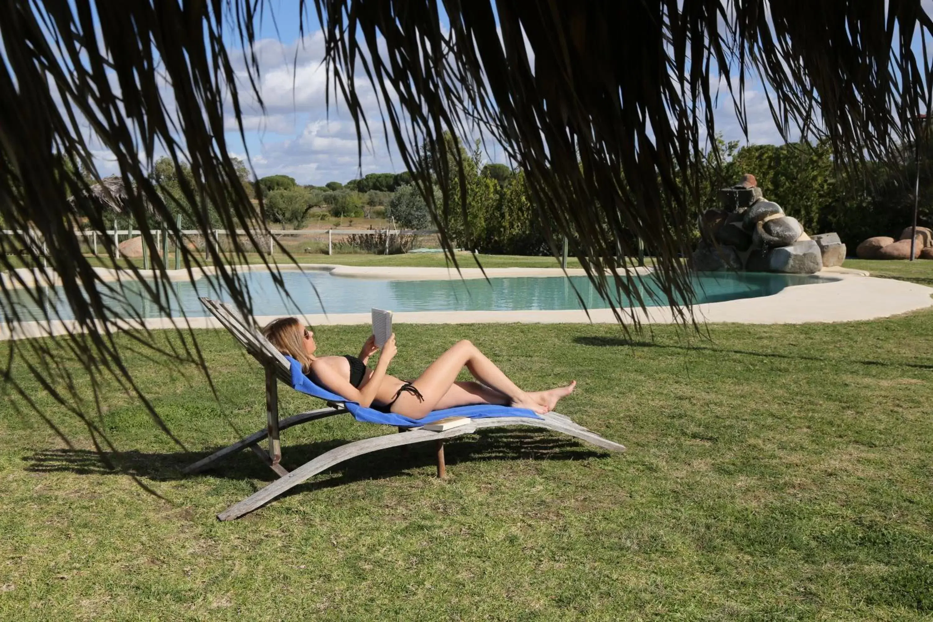 Swimming pool, Garden in Ardea Purpurea