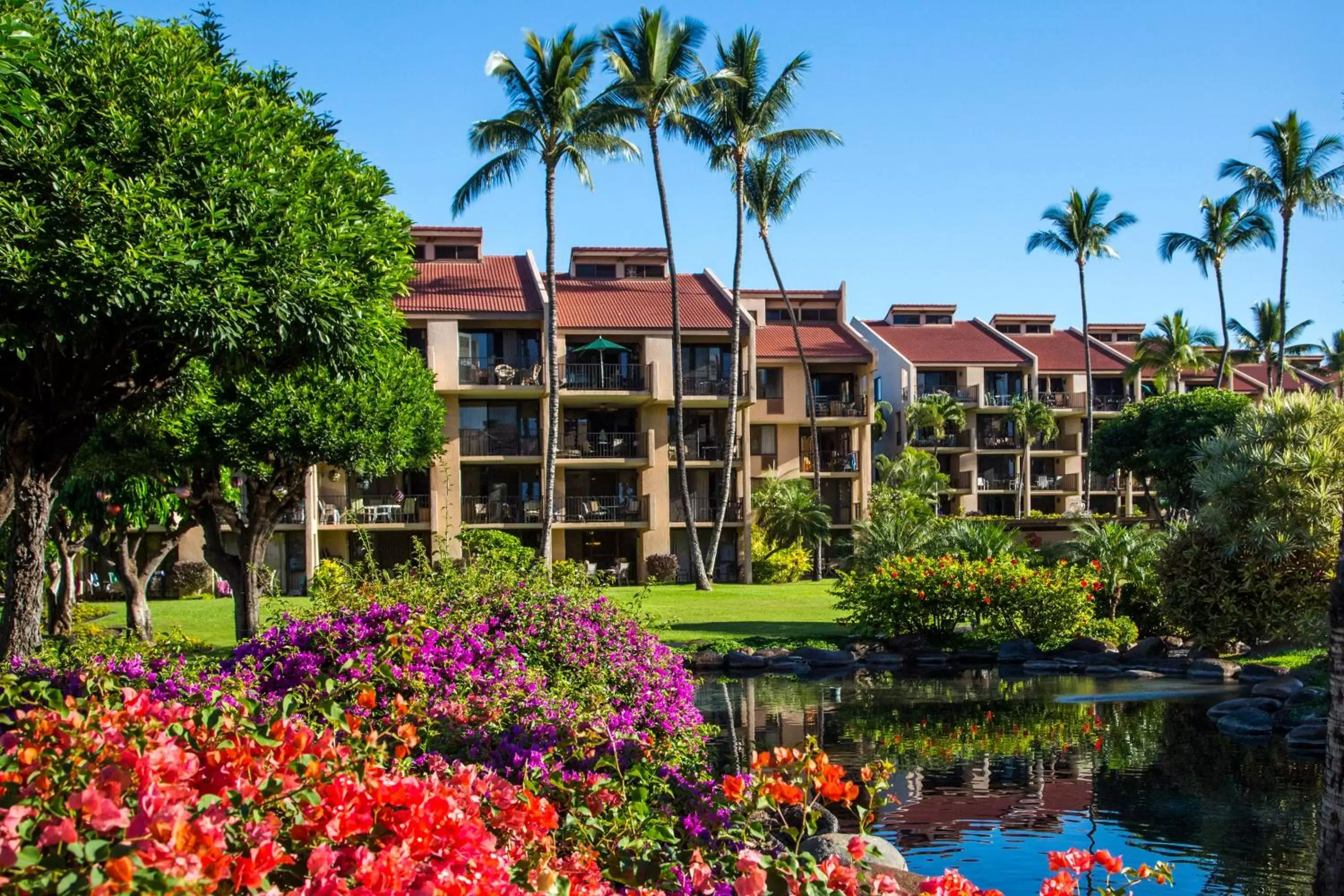 Property building, Garden in Castle Kamaole Sands