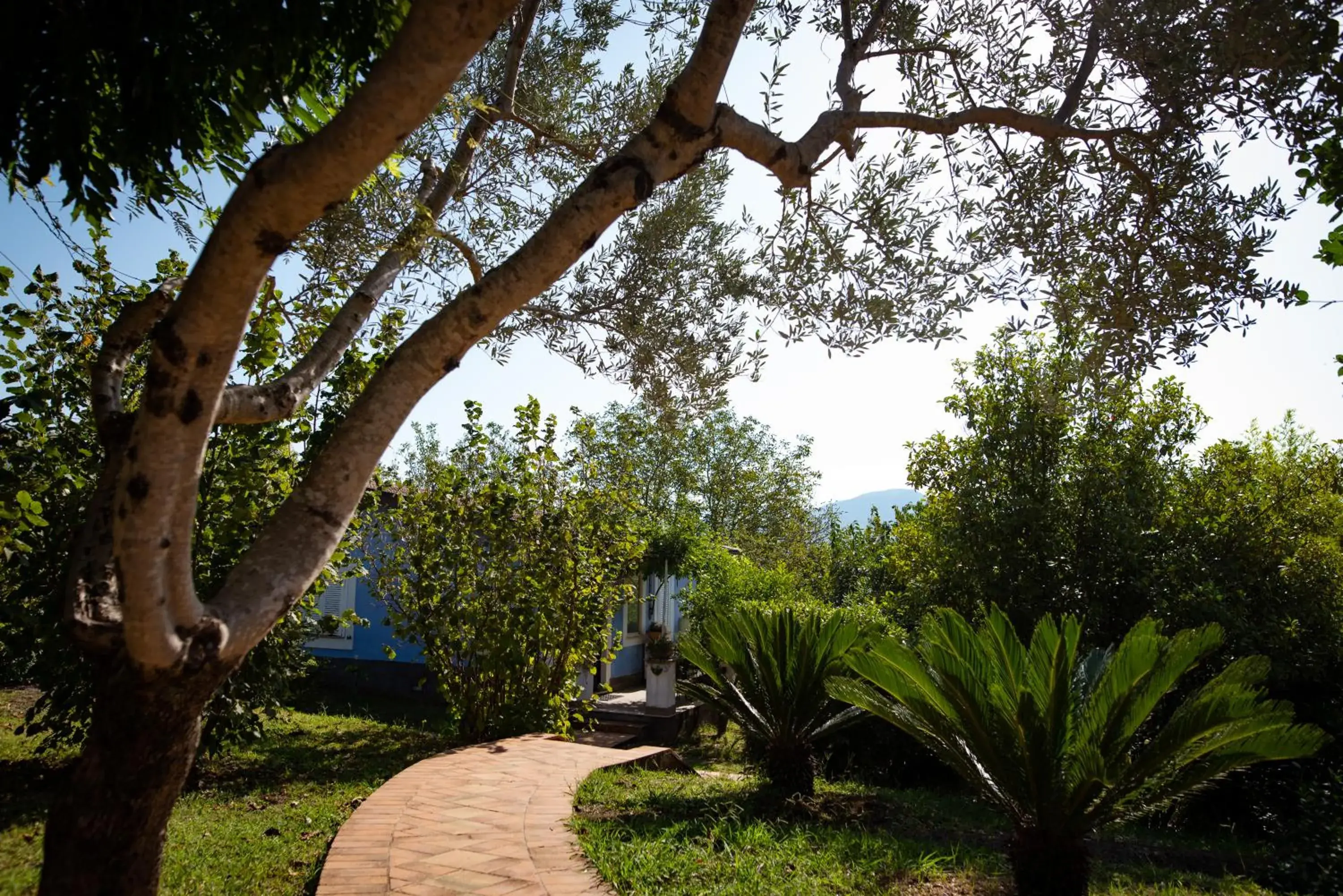 Spring, Garden in Hotel Villa Rizzo Resort and Spa