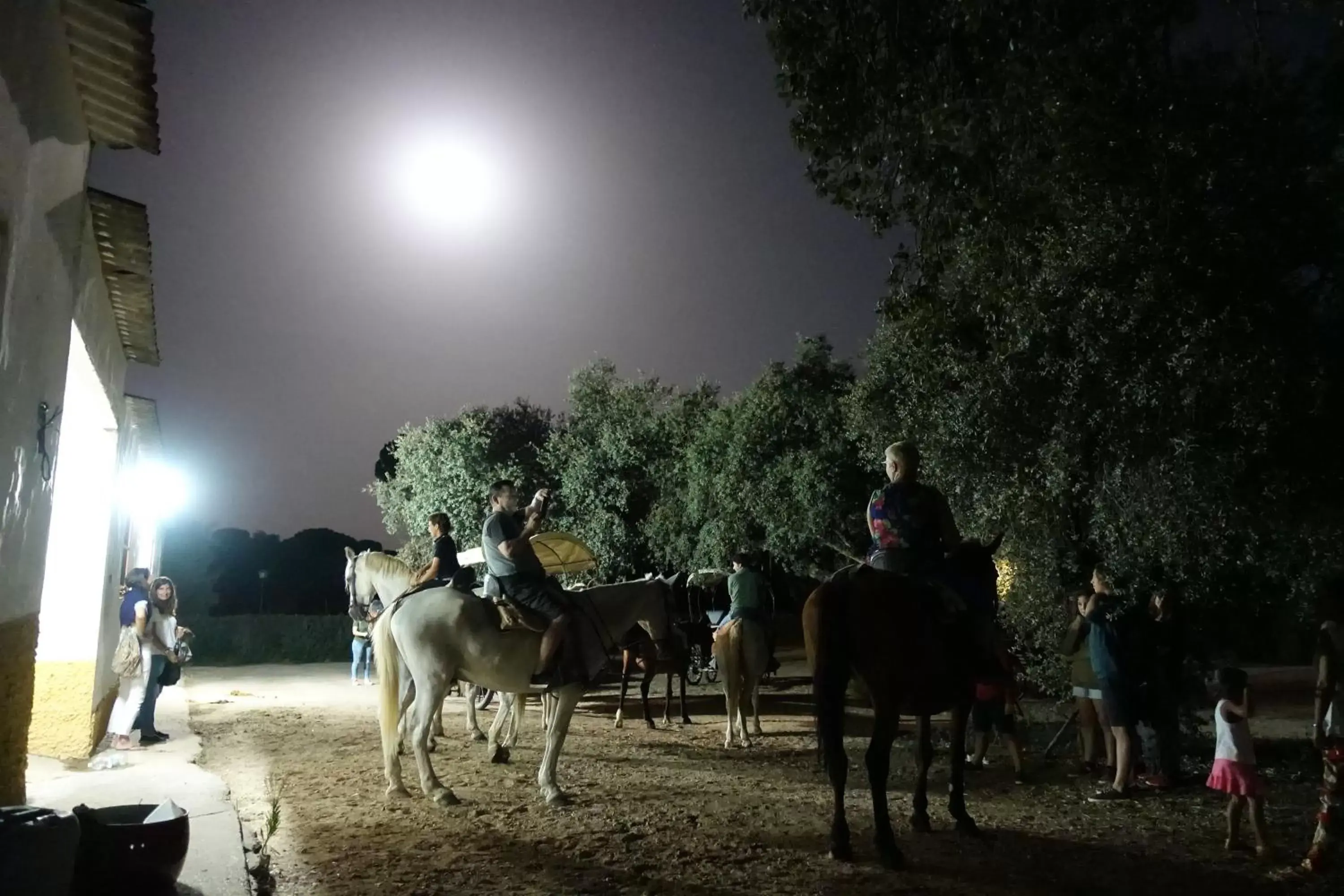 Night, Horseback Riding in Ardea Purpurea