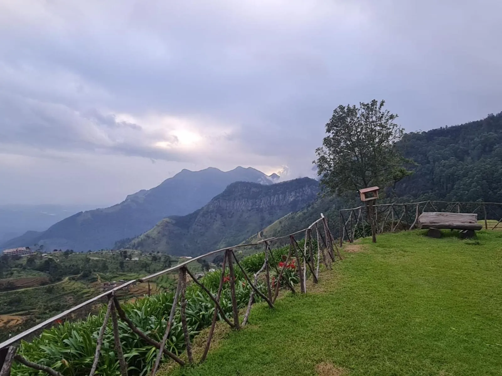 Hill Safari - Tea Estate Villa