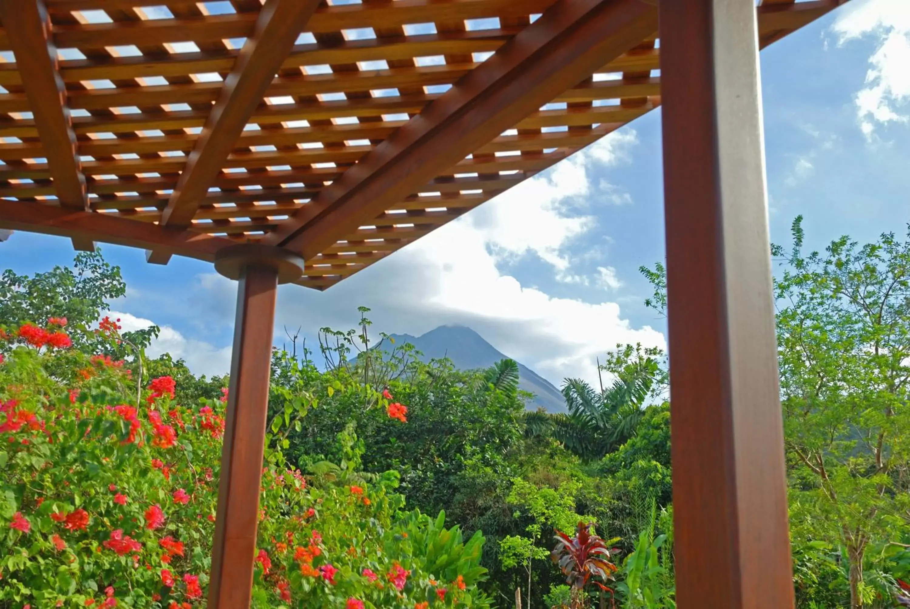 Day, Mountain View in Volcano Lodge, Hotel & Thermal Experience