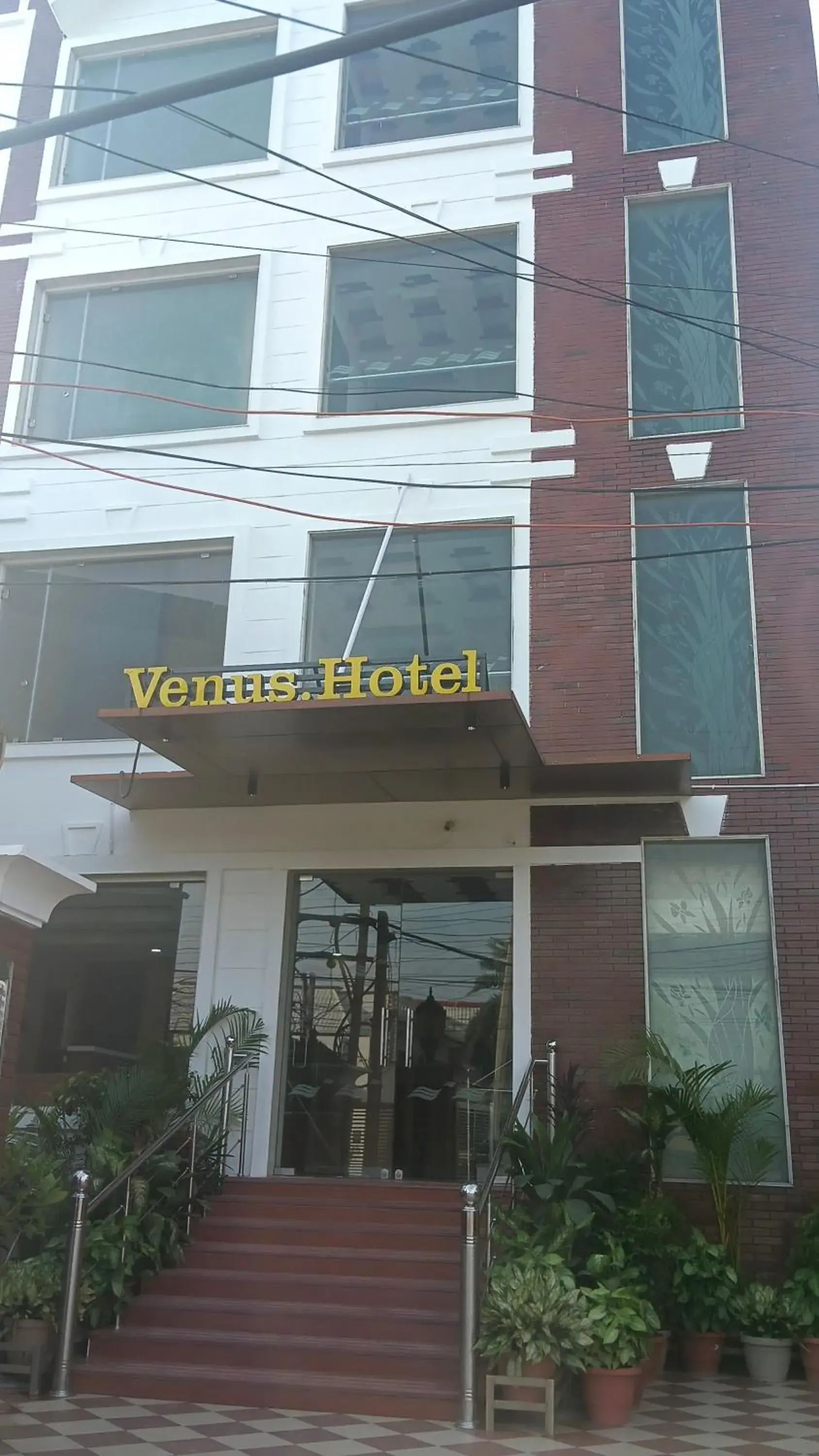 VENUS.HOTEL