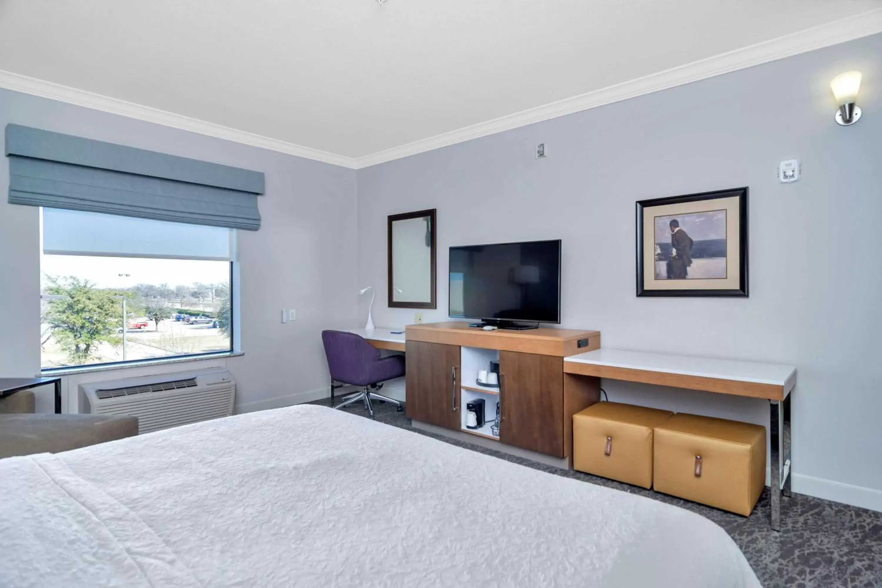 Bedroom, TV/Entertainment Center in Hampton Inn & Suites Fort Worth-Fossil Creek