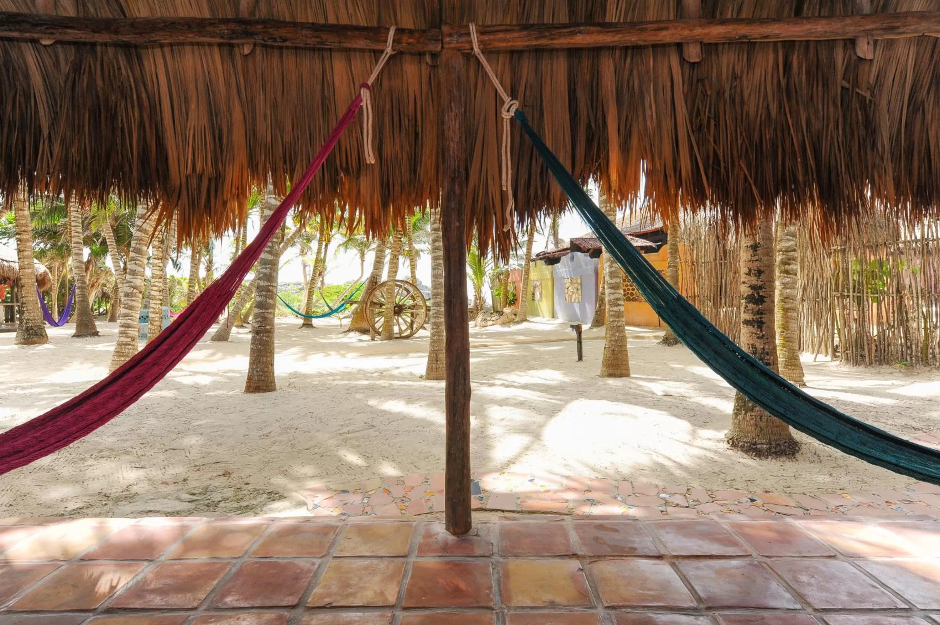 Garden view in Zamas Hotel