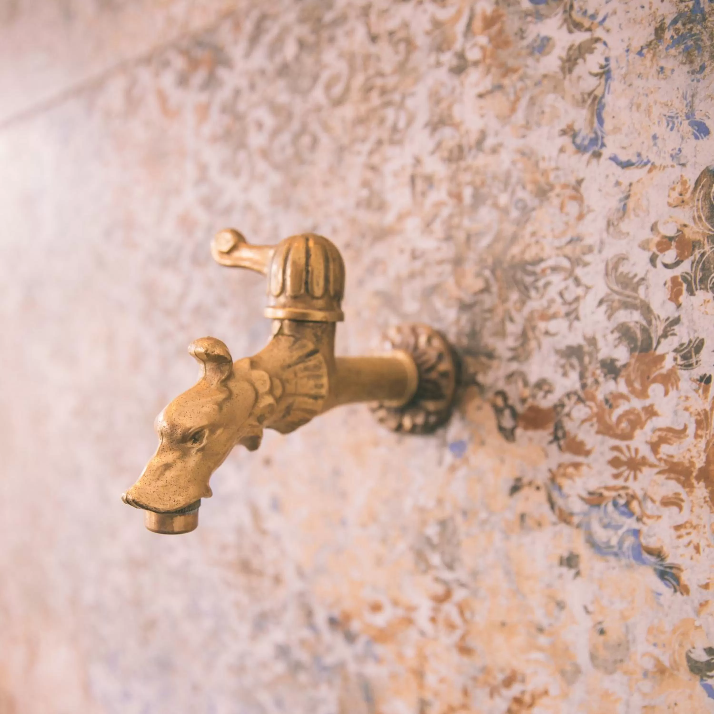 Banquet/Function facilities, Other Animals in Nefer, Haus