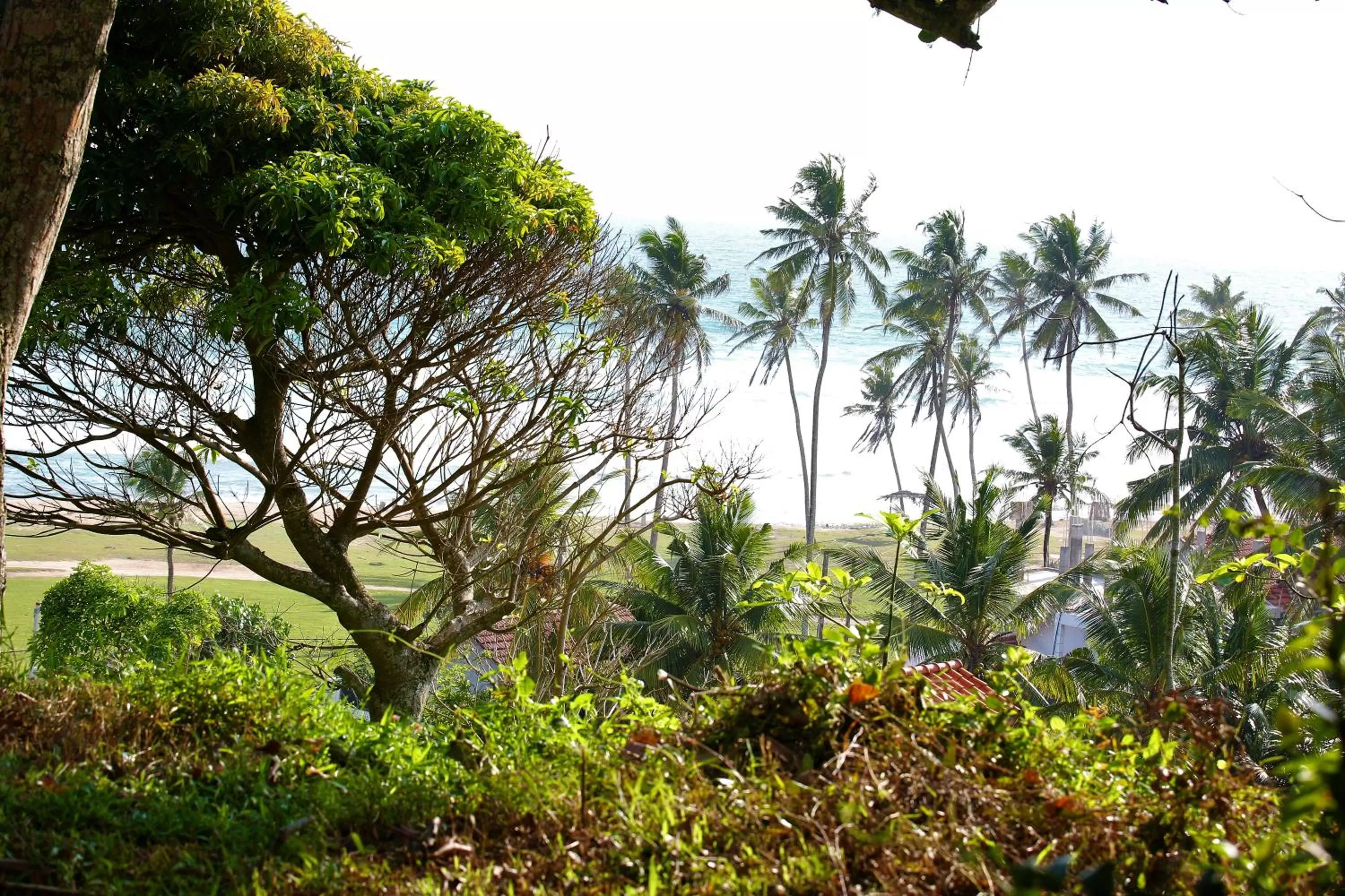 Sea view in Sky Mountain Café with seaview