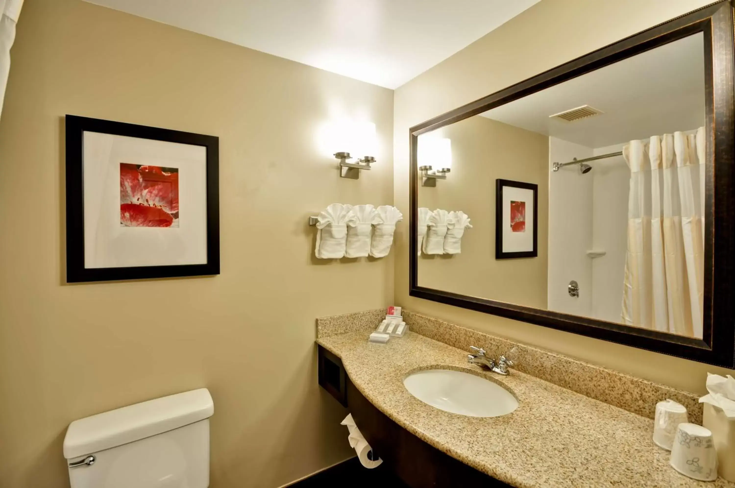 Bathroom in Hilton Garden Inn Tampa North