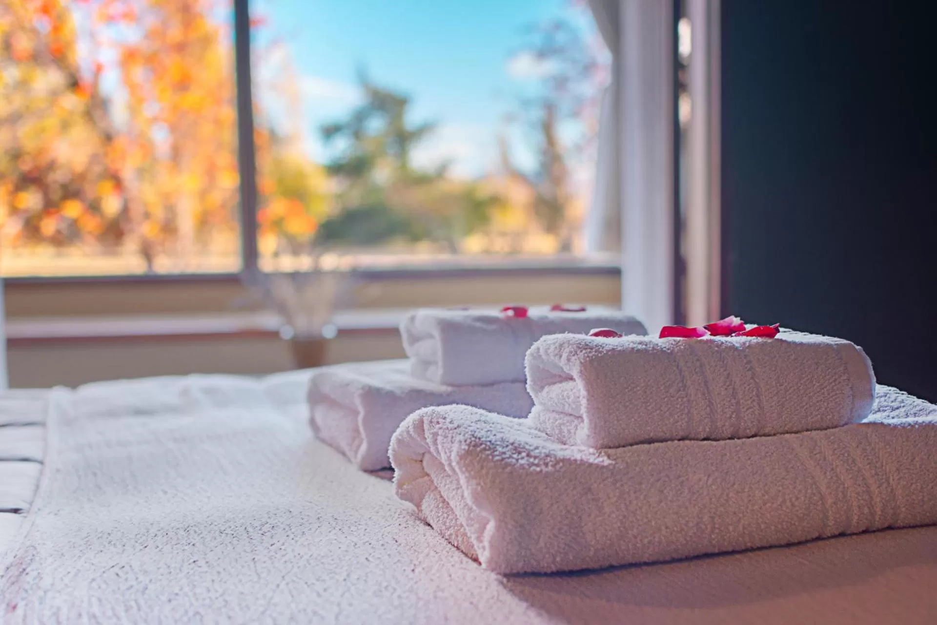 Hostería El Galpón Del Glaciar