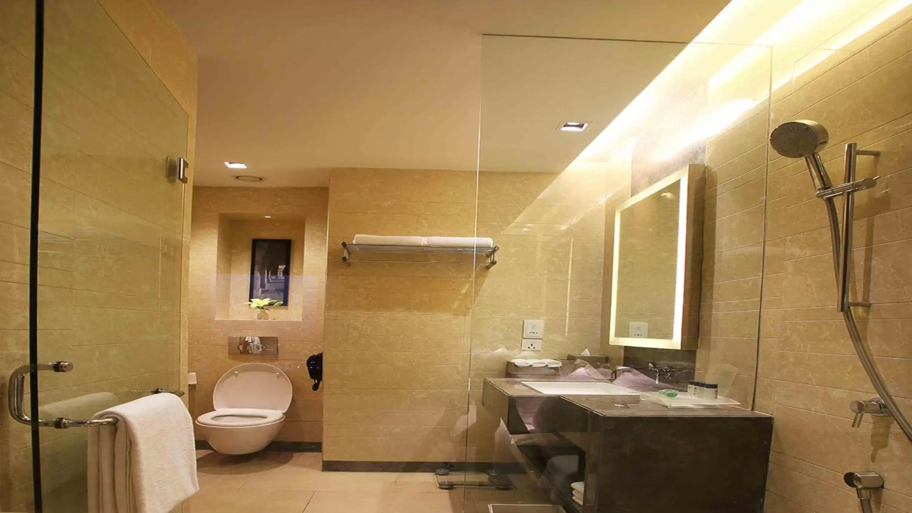 Bathroom in Holiday Inn New Delhi Mayur Vihar Noida, an IHG Hotel