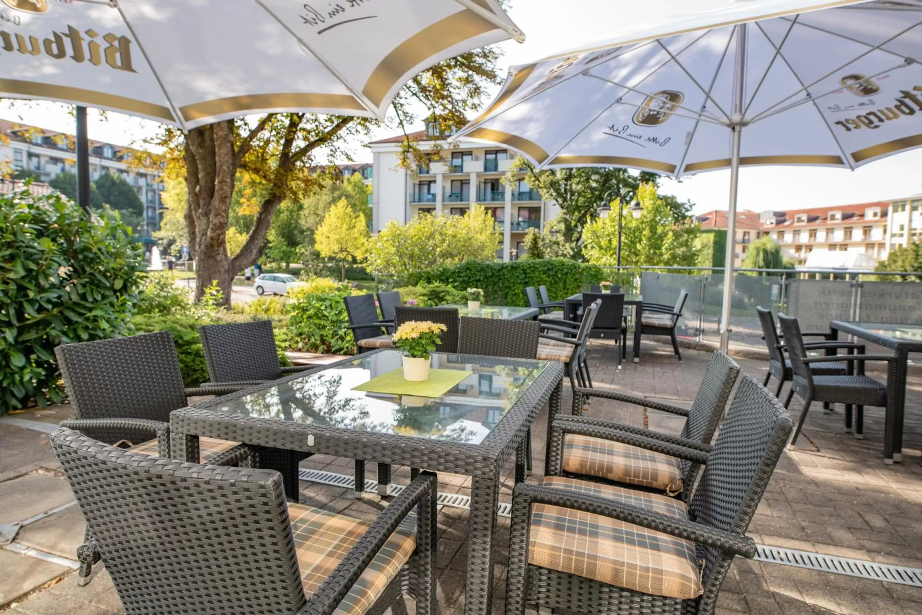 Patio, Restaurant/Places to Eat in Hotel Herzog Georg