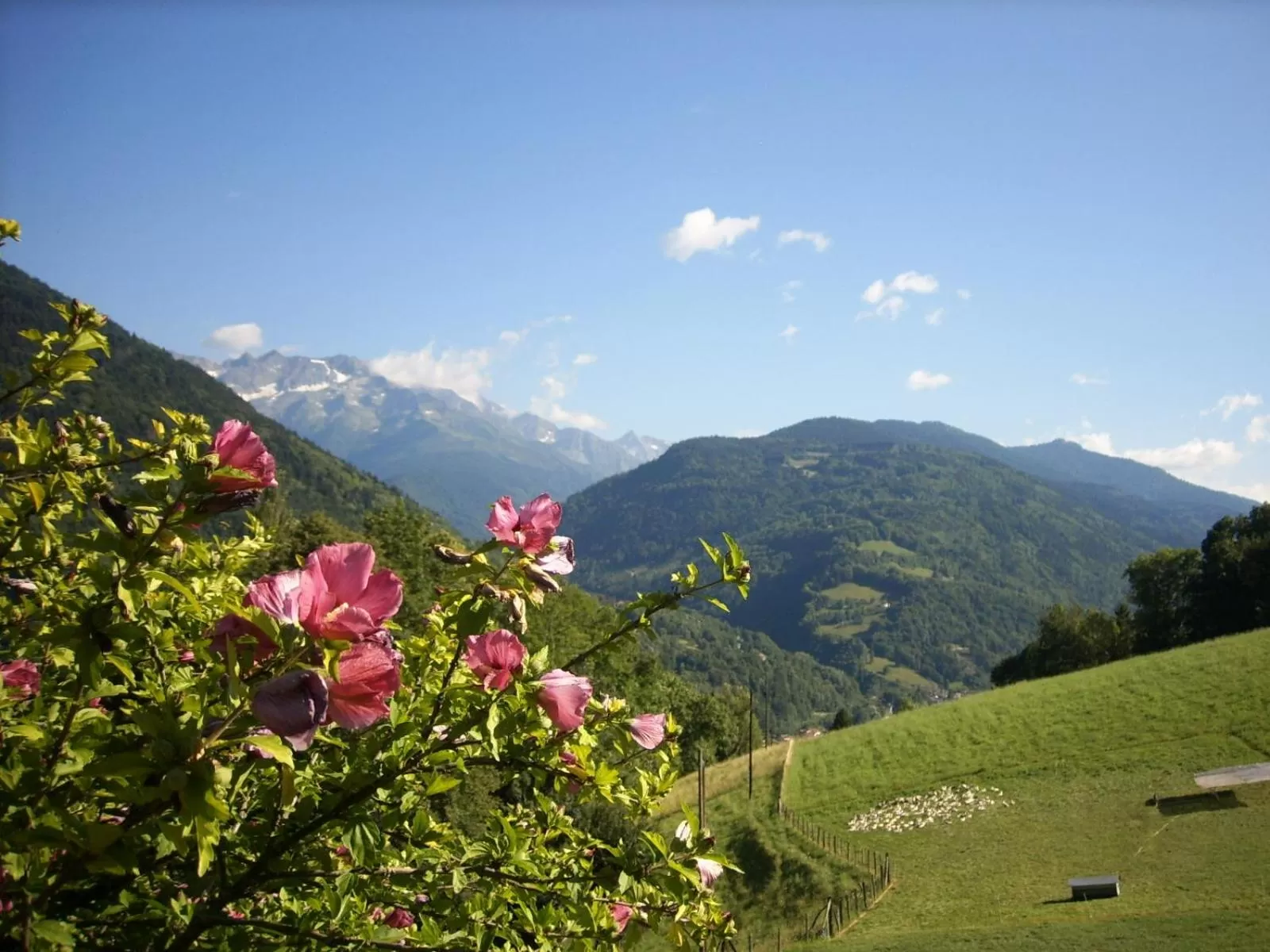 Mountain View in Ferme Auberge du Bessard