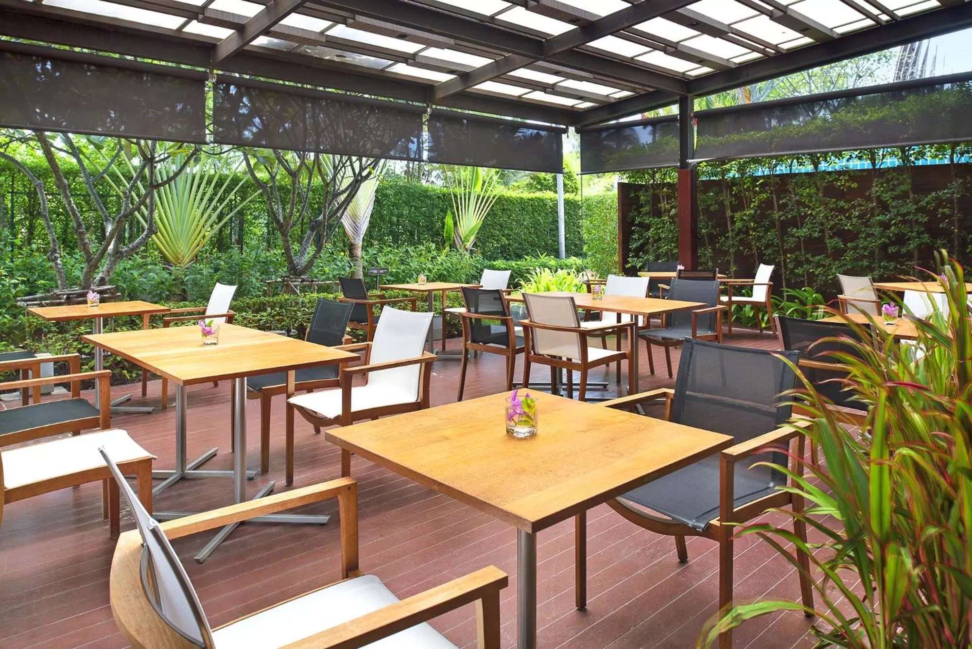 Restaurant/places to eat in Mida De Sea Hua Hin - SHA PLUS