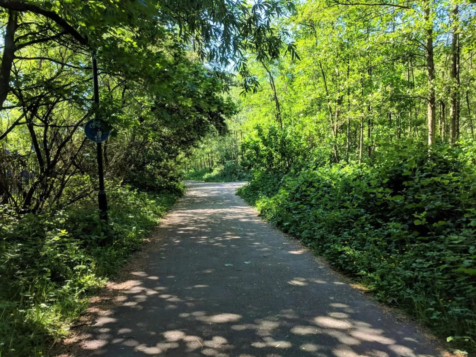 Off site in Lancaster Townhouse