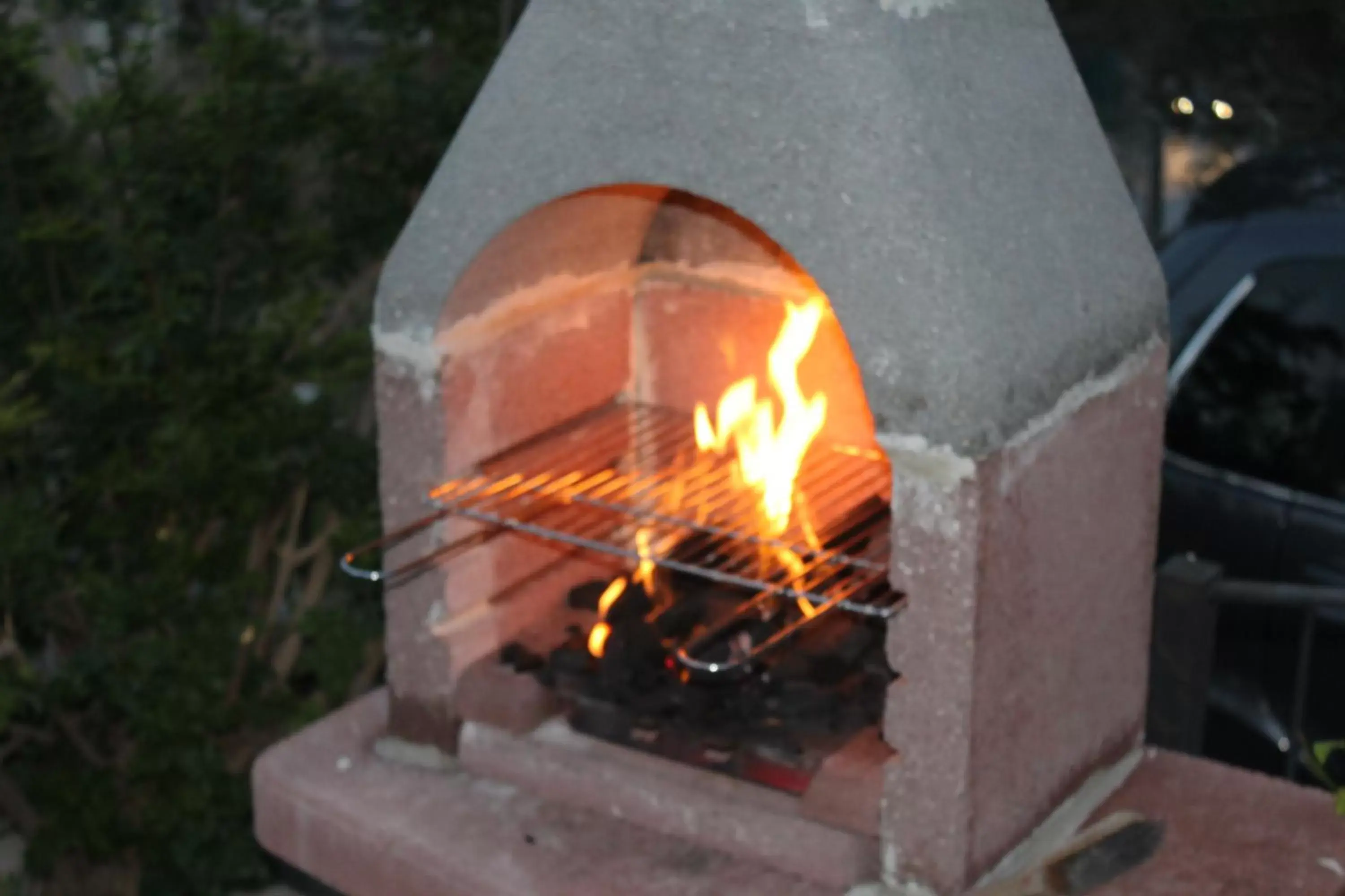 BBQ Facilities in Residence Hotel Torresilvana