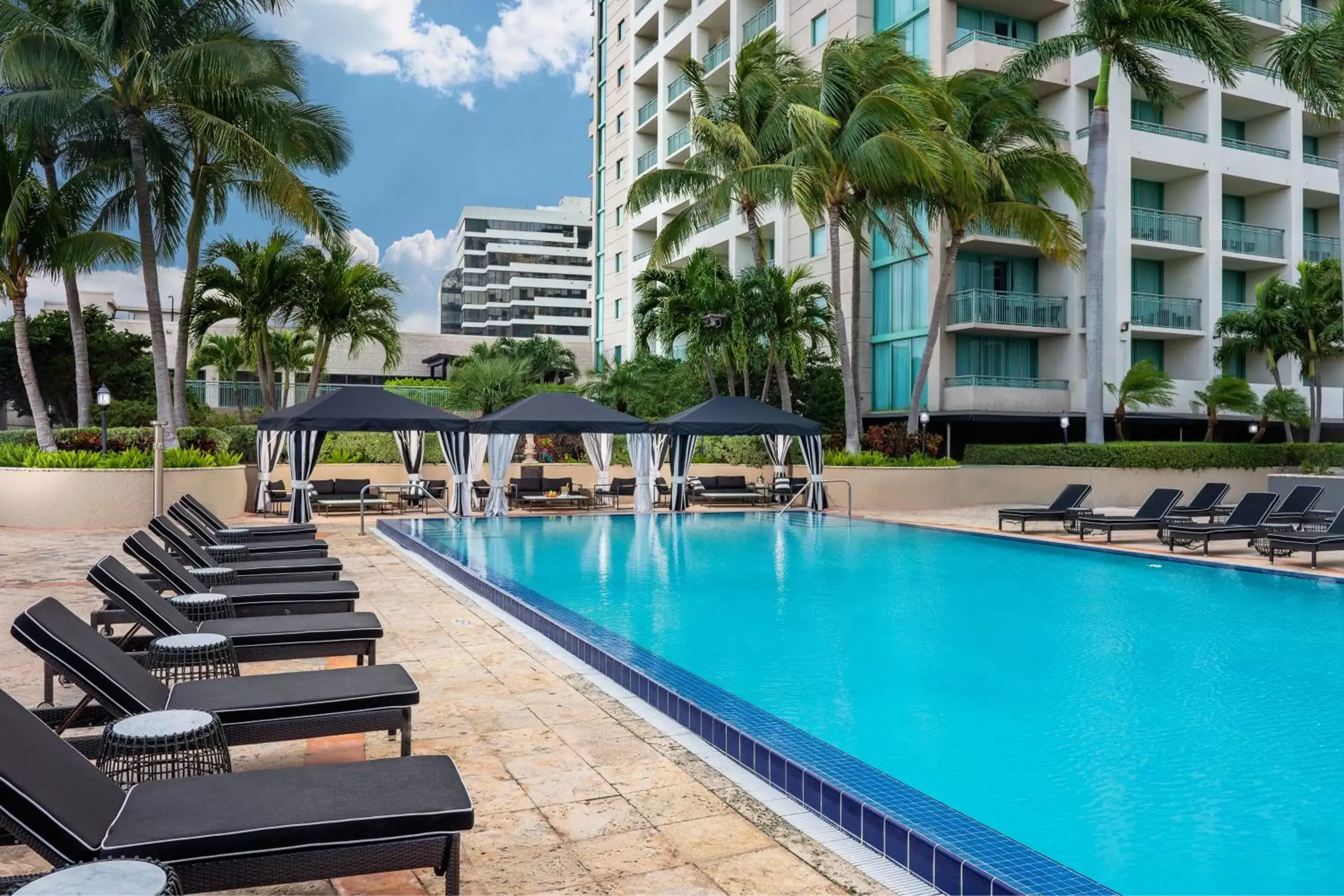 Swimming Pool in The Ritz-Carlton Coconut Grove, Miami