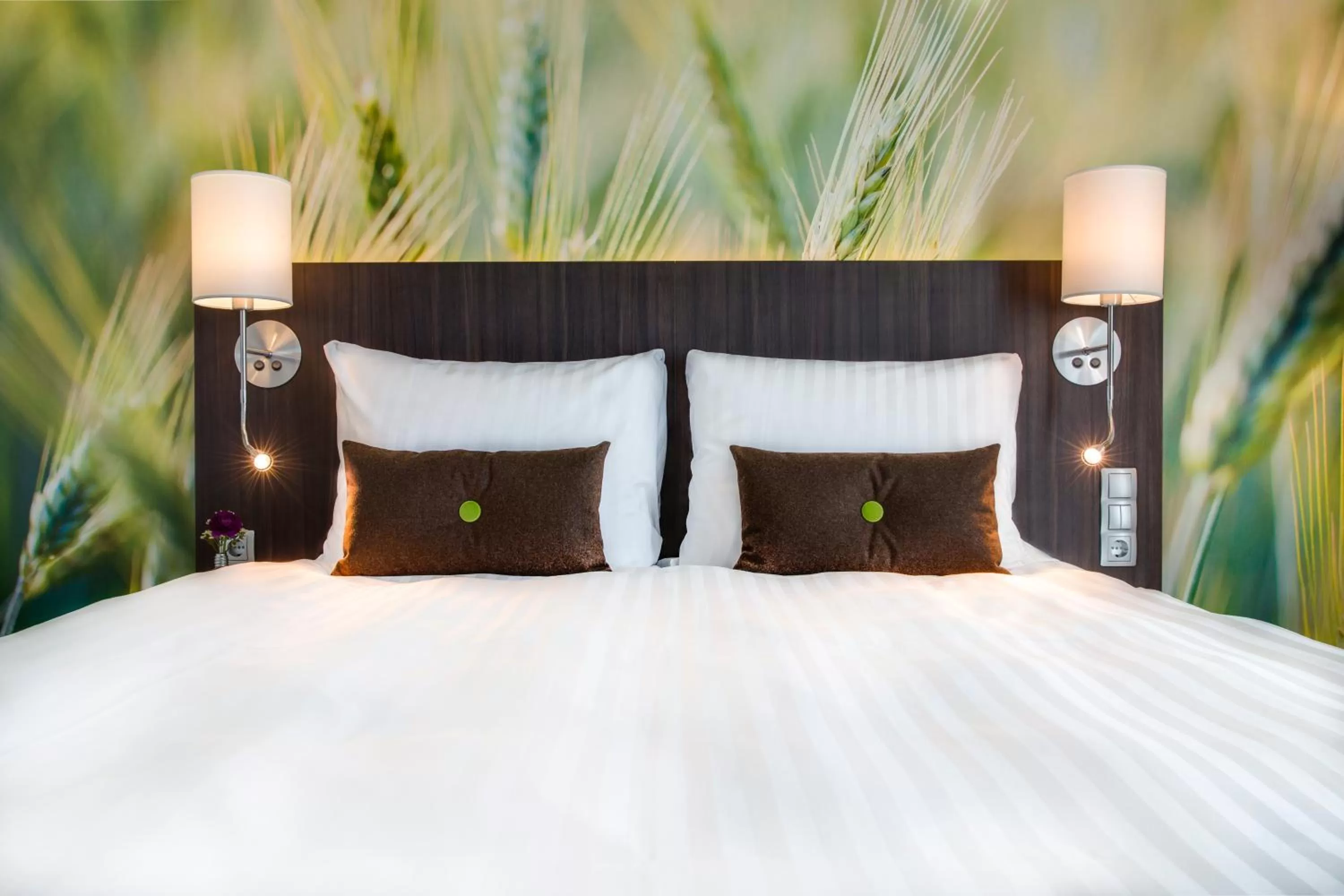 Standard Room in Best Western Plus Park City Lund