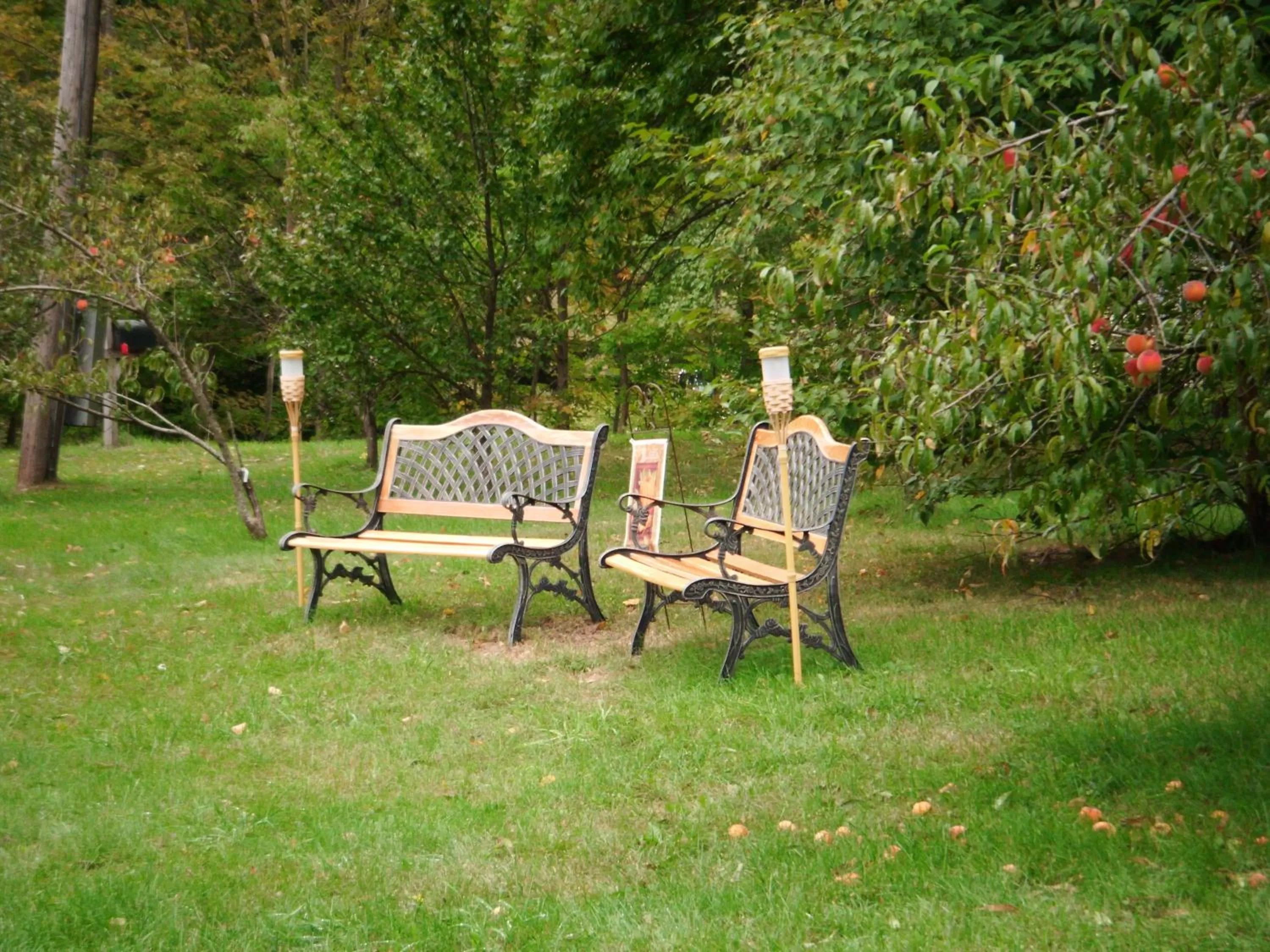 Garden view, Garden in Starlite Motel & Suites
