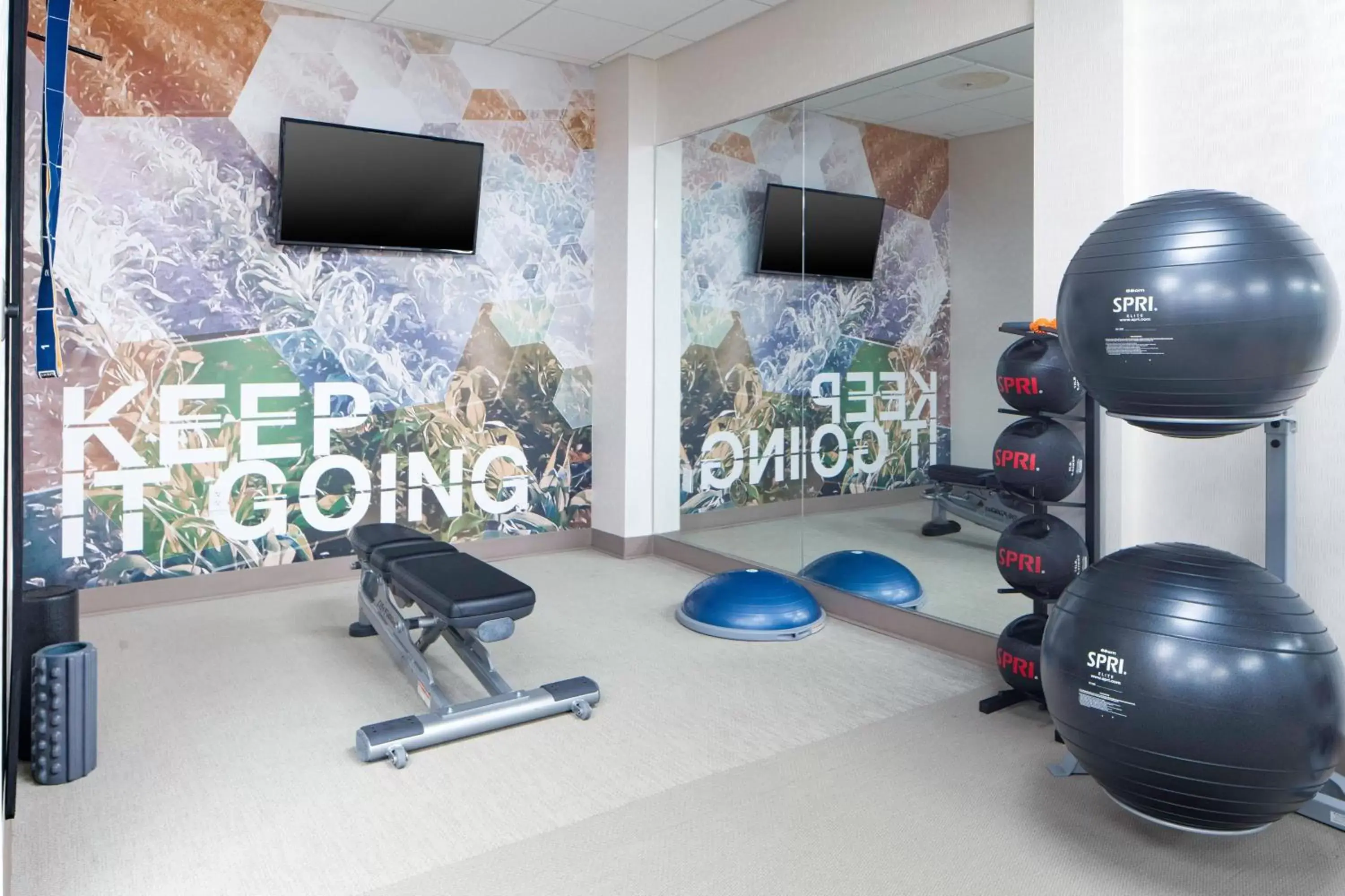 Fitness centre/facilities, Fitness Center/Facilities in SpringHill Suites Winchester