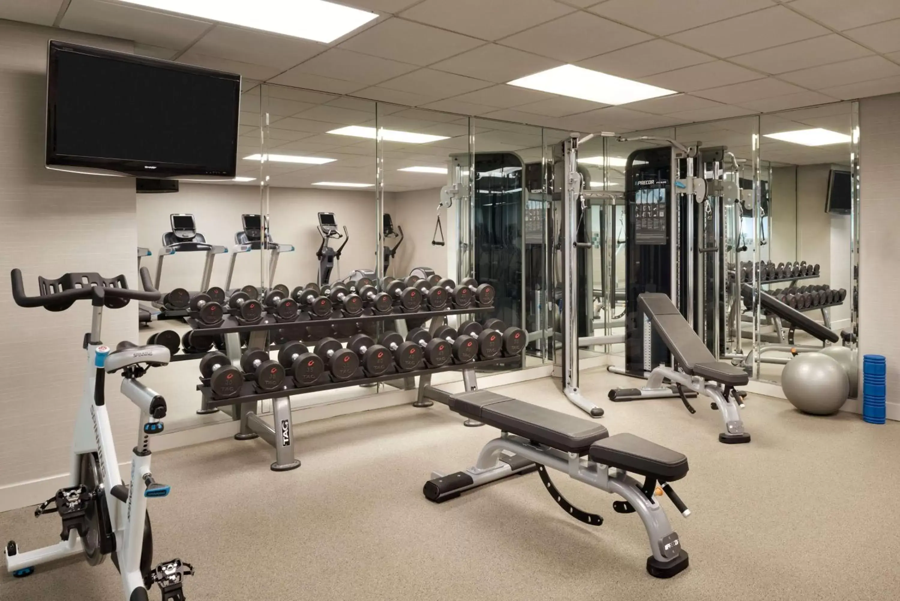 Fitness centre/facilities, Fitness Center/Facilities in Hyatt Regency Schaumburg Chicago