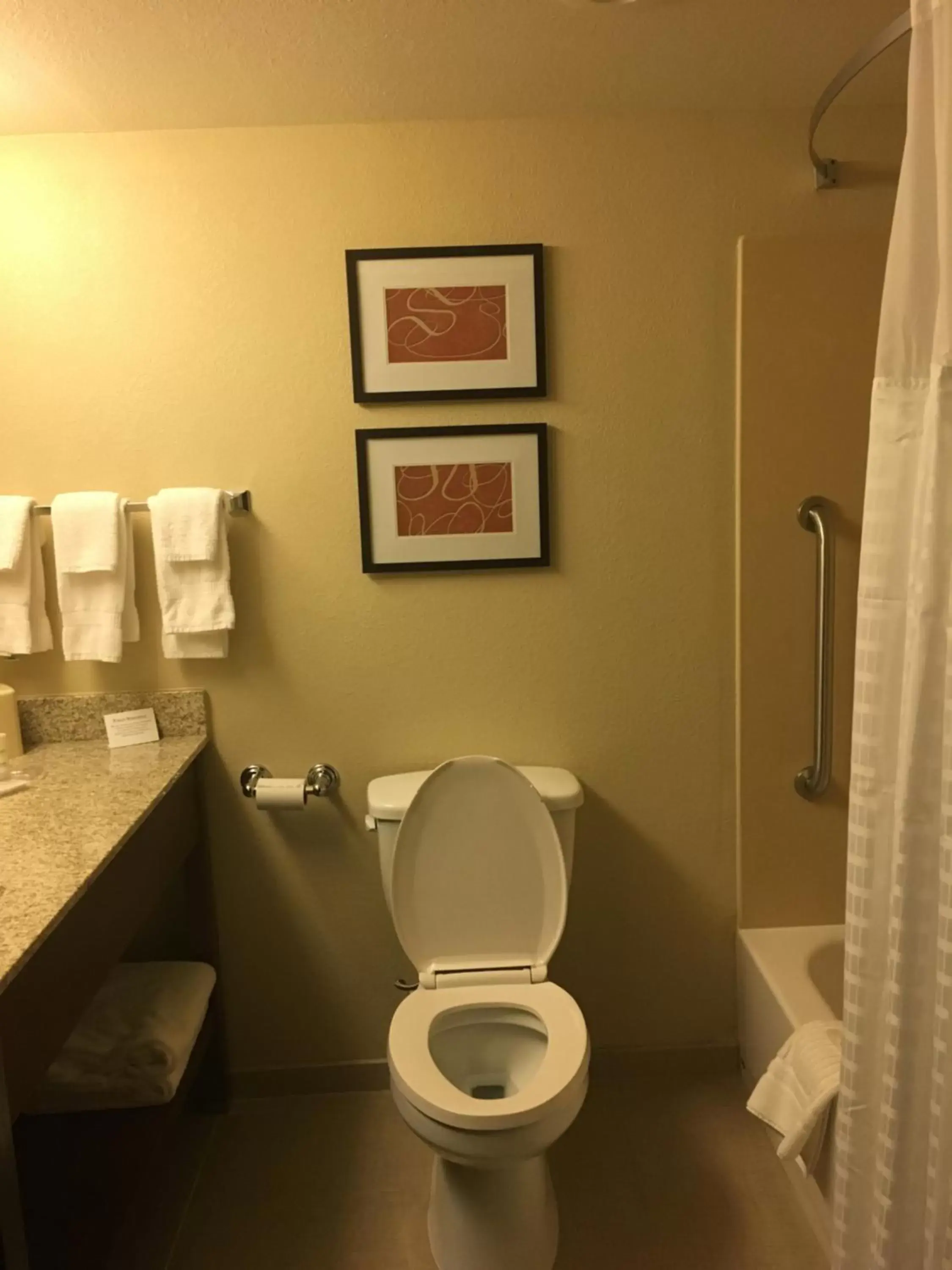 Guests, Bathroom in Comfort Suites Near Potomac Mills
